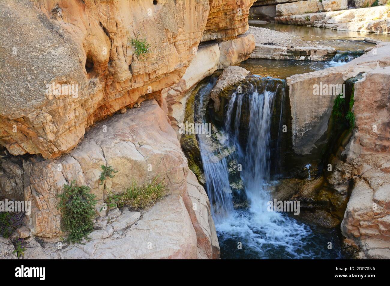 Cascata in Ein Prat - Wadi Kelt, deserto della Giudea, Israele Foto Stock