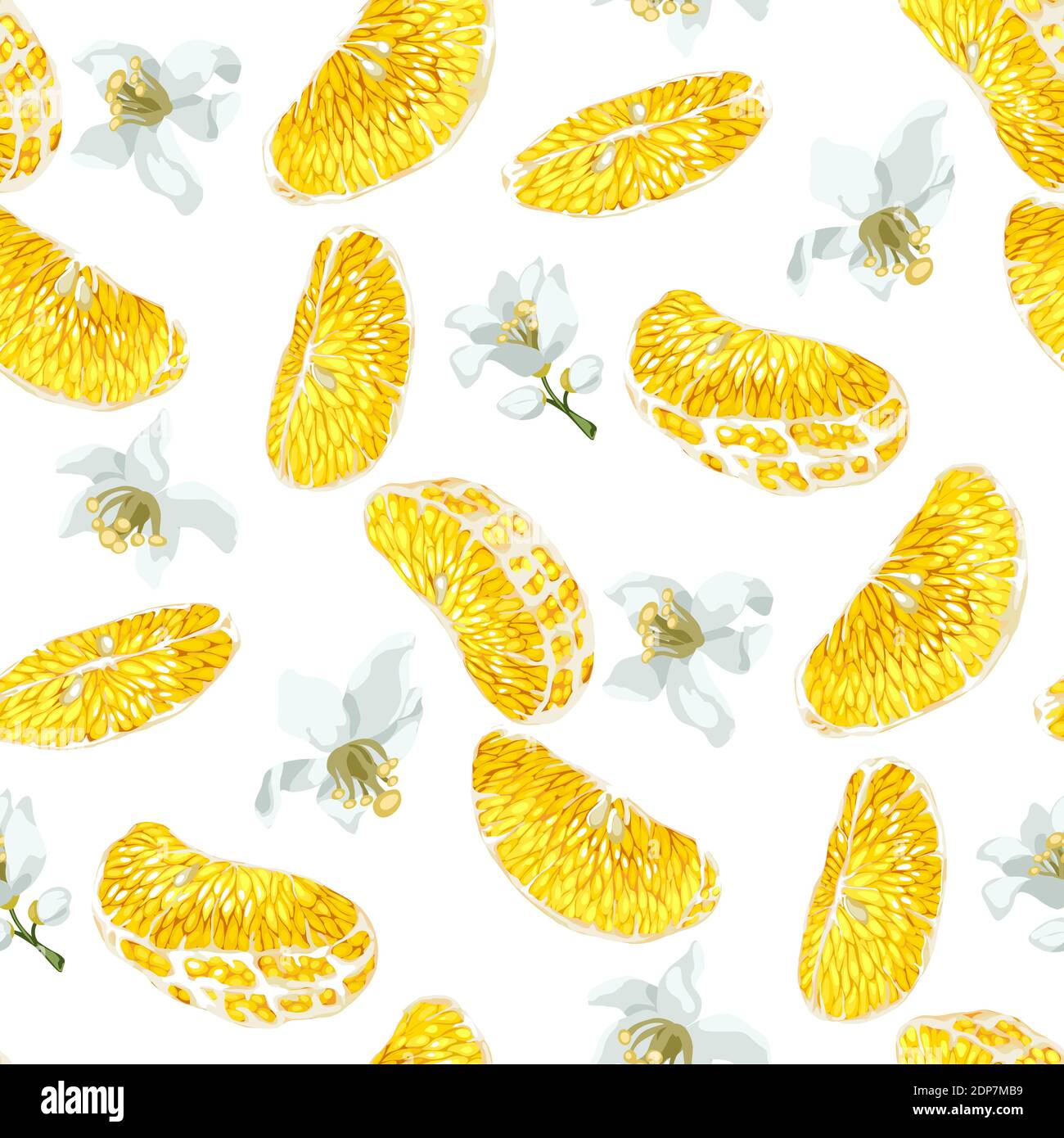 Motivo senza cuciture con fette di agrumi e fiori e boccioli fioriti. Disegno vettoriale disegno realistico in colori brillanti Illustrazione Vettoriale