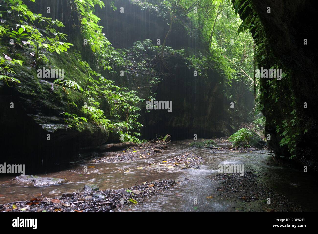 Segui il fiume fino alla cascata di Rowosari, sulle pendici del Monte Raung, quartiere di Jember, Giava Est. Foto Stock