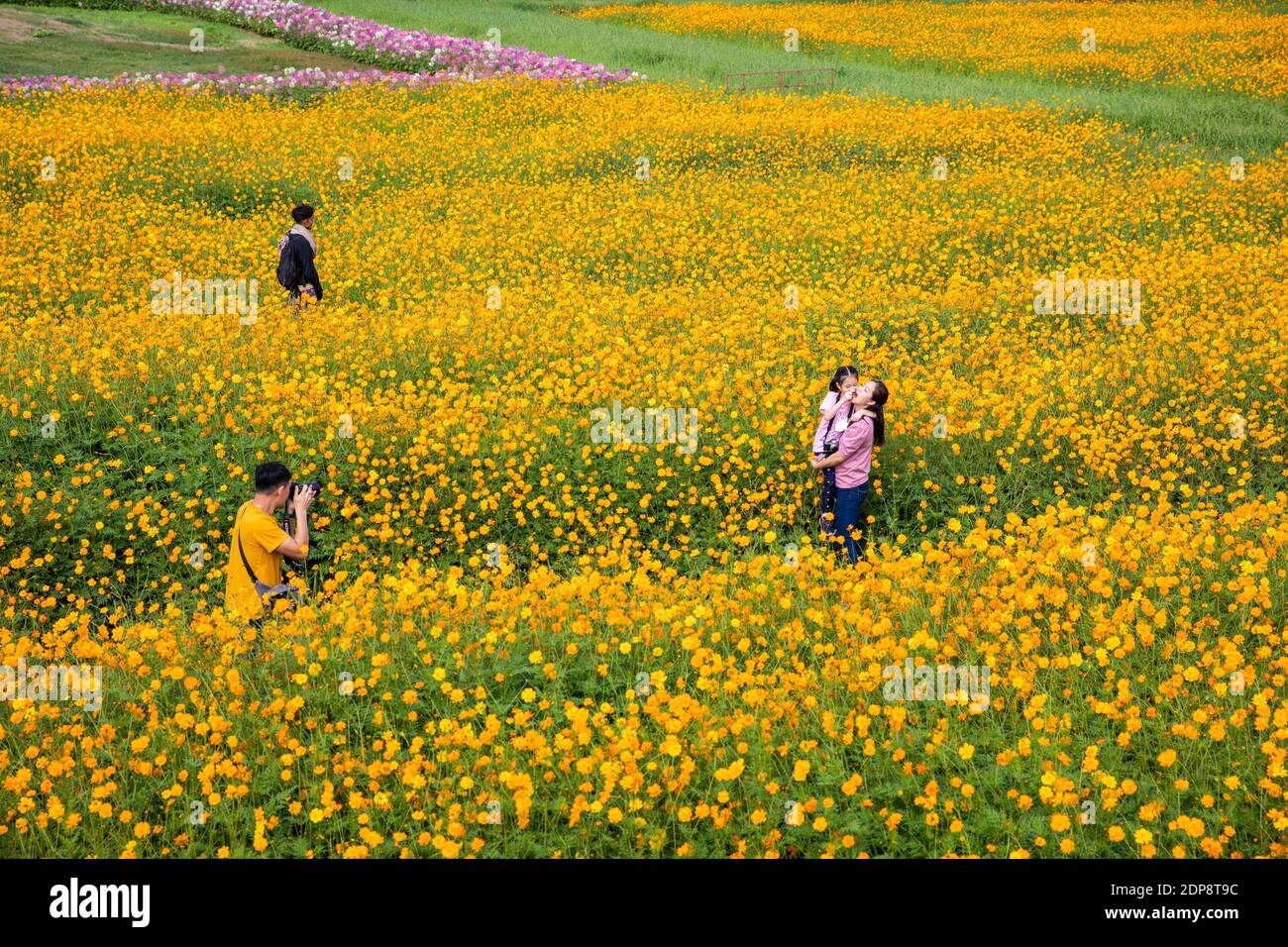 Nakhon Ratchasima, Tailandia. 19 dicembre 2020. I turisti visitano la fattoria Jim Thompson nella provincia di Nakhon Ratchasima, Thailandia, 19 dicembre 2020. Dal 2001, Jim Thompson Farm ha iniziato ad aprire le sue porte ogni anno a dicembre come sito agricolo per i visitatori appassionati della natura. Credit: Zhang Keren/Xinhua/Alamy Live News Foto Stock