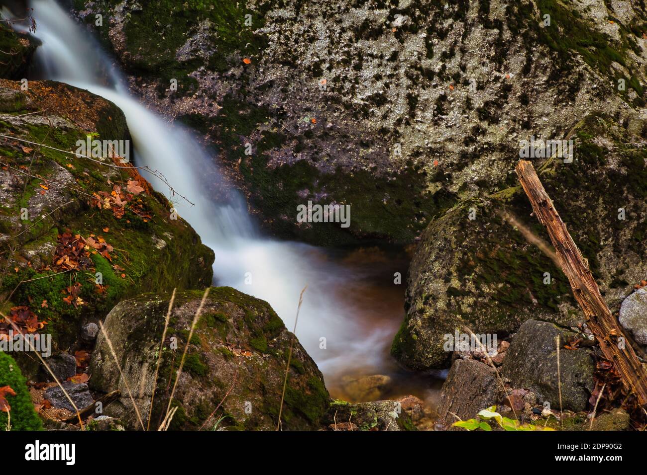 Autunno lunga esposizione del Creek e nero (grande) Stolpich cascate in Jizera Mountain. L'acqua cade in un profondo canyon di foresta piena di pietre di granito Foto Stock
