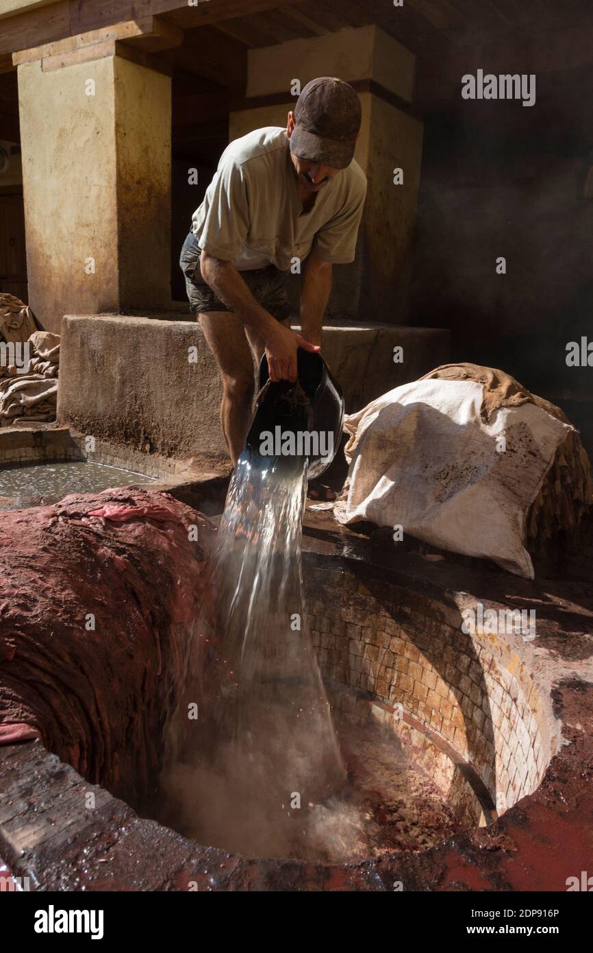 Conceria in pelle a Fez, Marocco. Procedura di abbronzatura in una delle concerie Foto Stock