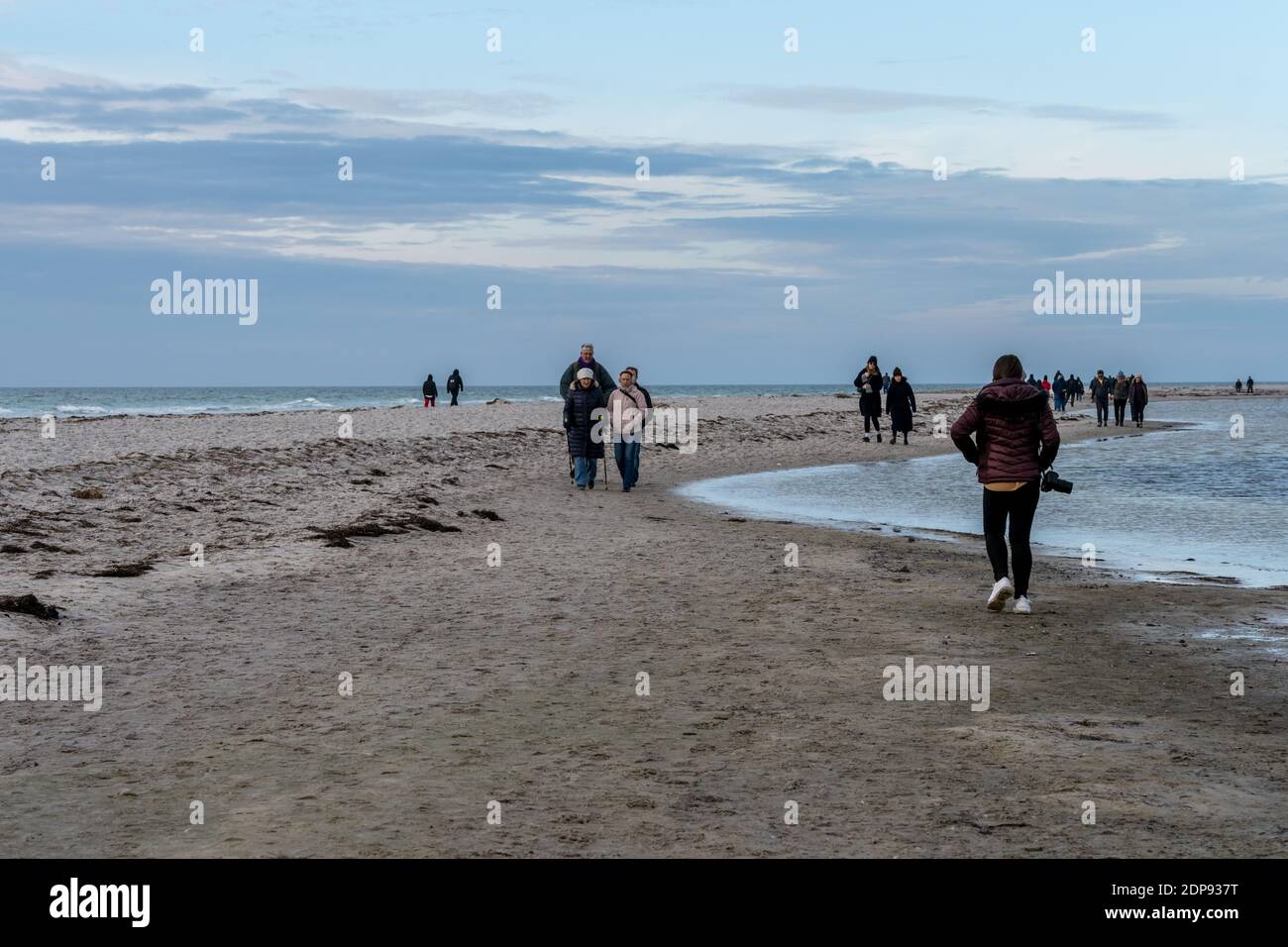 Falsterbo, Svezia - 15 novembre 2020: La gente sta camminando in una riserva naturale per vedere una colonia di foche del porto. Molti godono la natura mentre mantengono la distanza sociale durante i tempi della corona Foto Stock