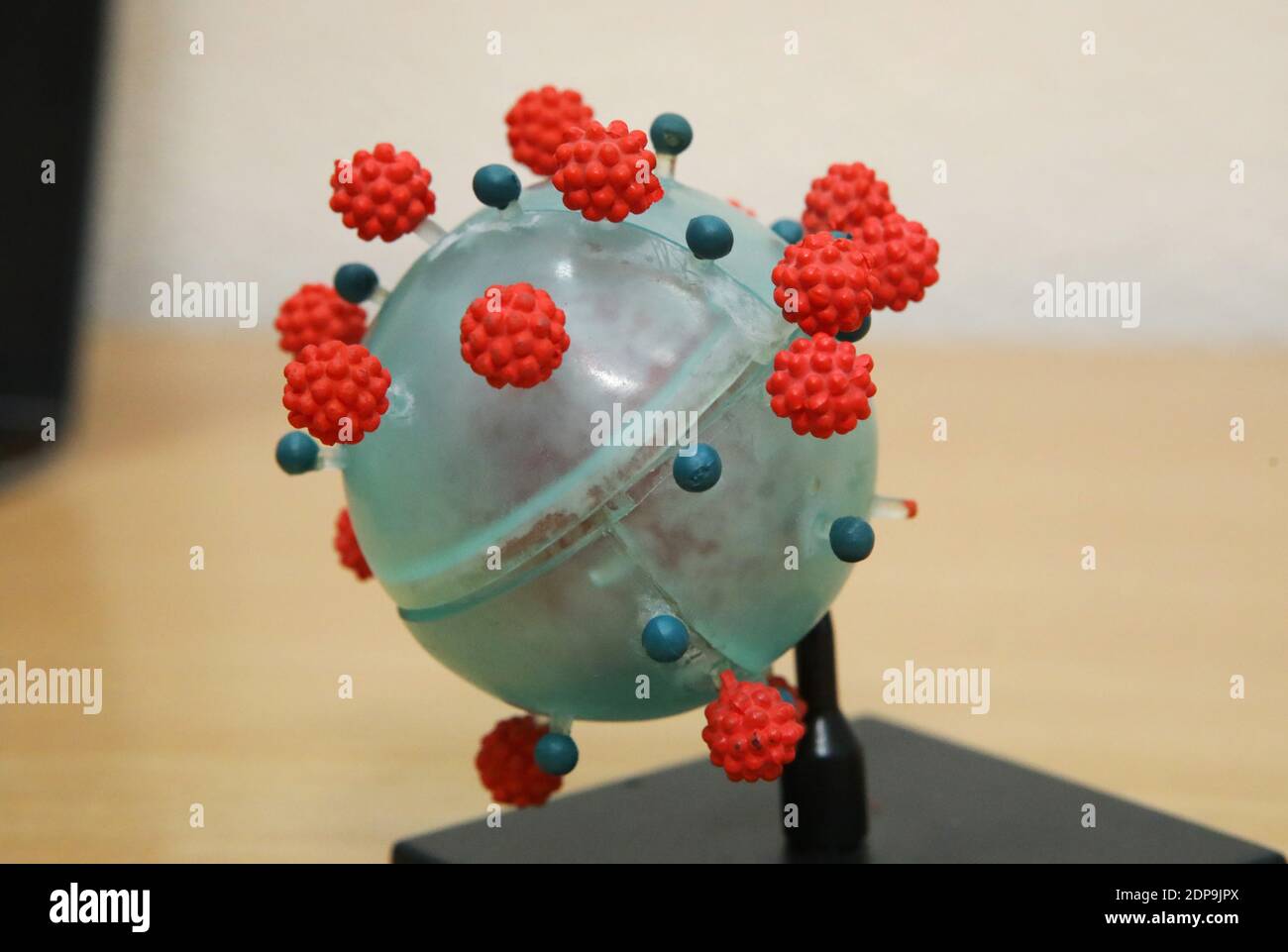 Non esclusivo: KHARKIV, UCRAINA - 18 DICEMBRE 2020 - UN modello plastico del virione del coronavirus è raffigurato in un laboratorio educativo al Kharki Foto Stock