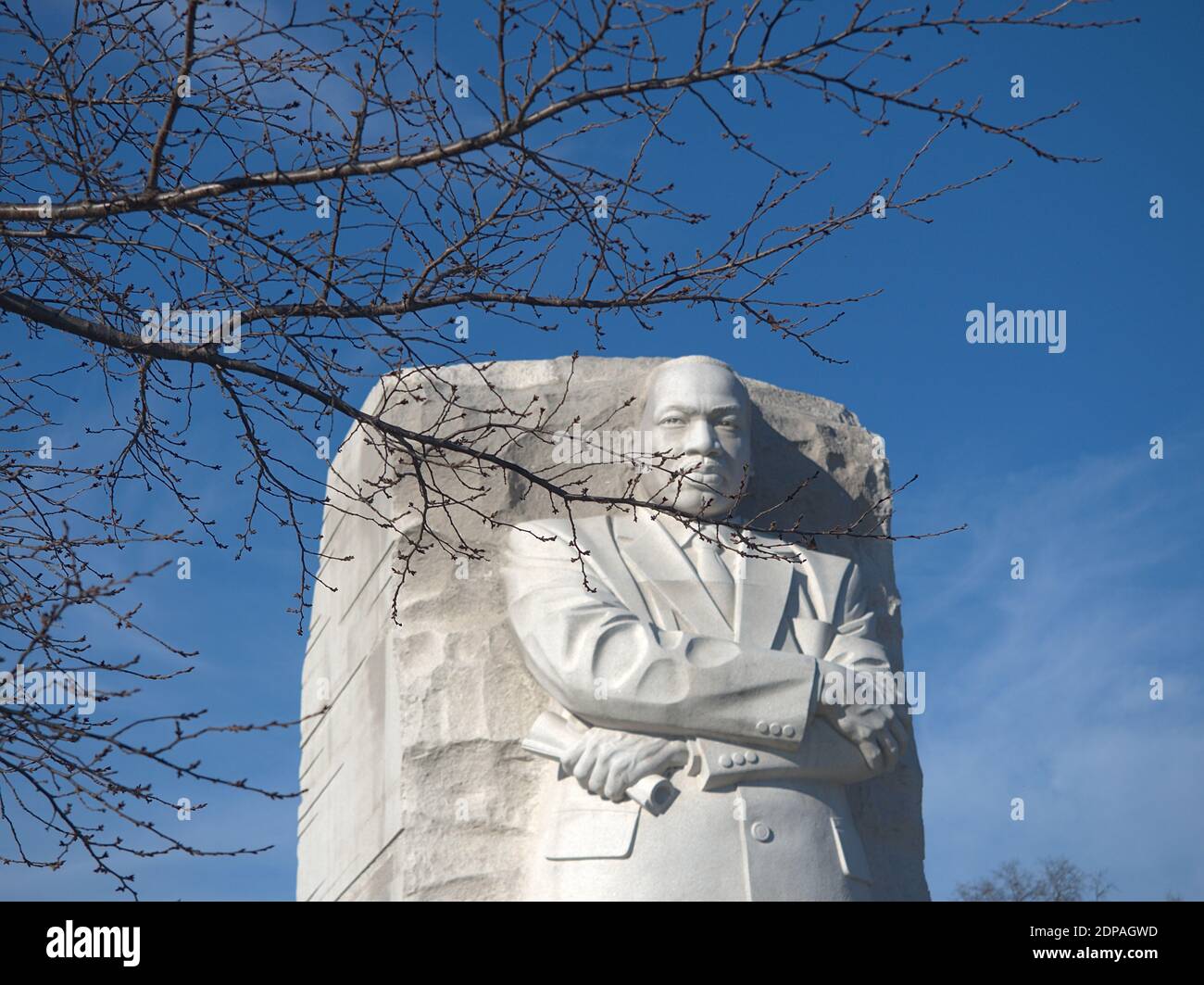 Martin Luther King Jr Memorial a Washington DC faccia incorniciata per ramo ad albero Foto Stock