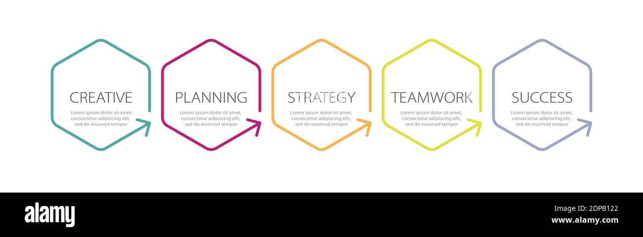 Modello infografico a linee sottili con 5 passaggi. Infografiche moderne del concetto di business con opzioni per brochure, diagrammi, flussi di lavoro, tempistiche. EPS vettoriale 1 Illustrazione Vettoriale