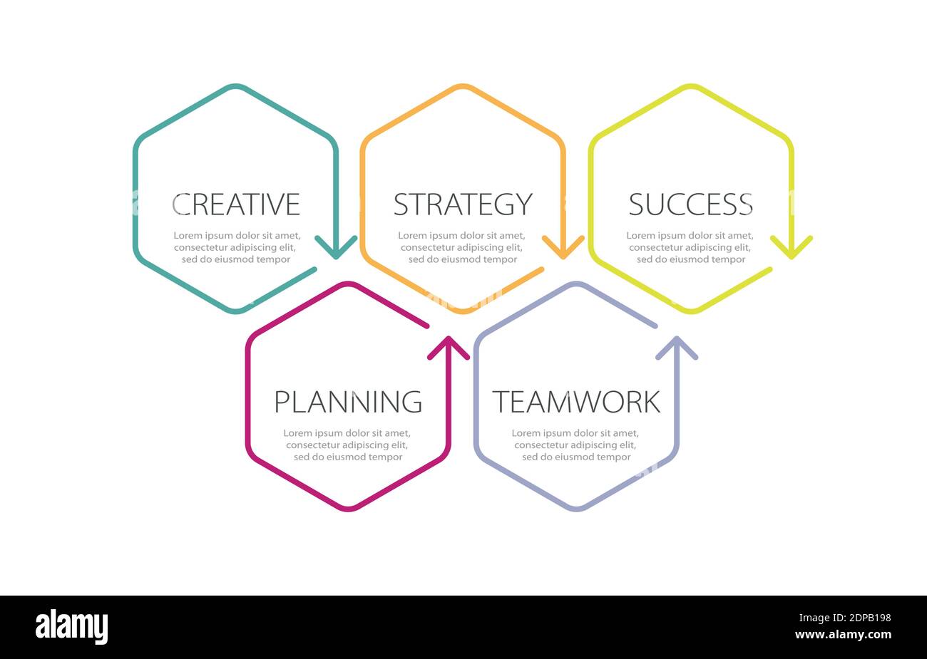 Modello infografico a linee sottili con 5 passaggi. Infografiche moderne del concetto di business con opzioni per brochure, diagrammi, flussi di lavoro, tempistiche. EPS vettoriale 1 Illustrazione Vettoriale