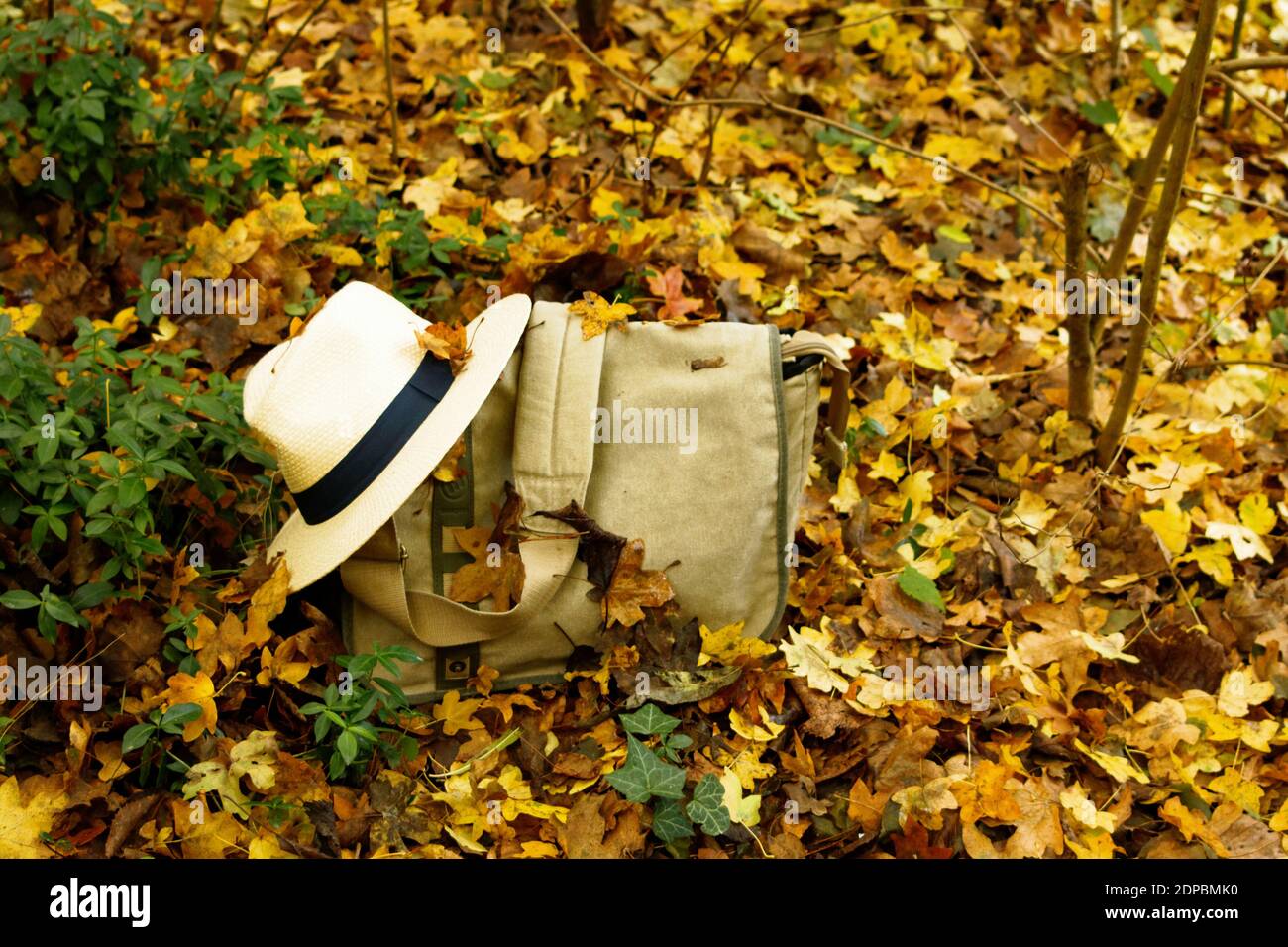 Viaggio in autunno. Borsa e cappello da uomo in scenario autunnale. Foto Stock