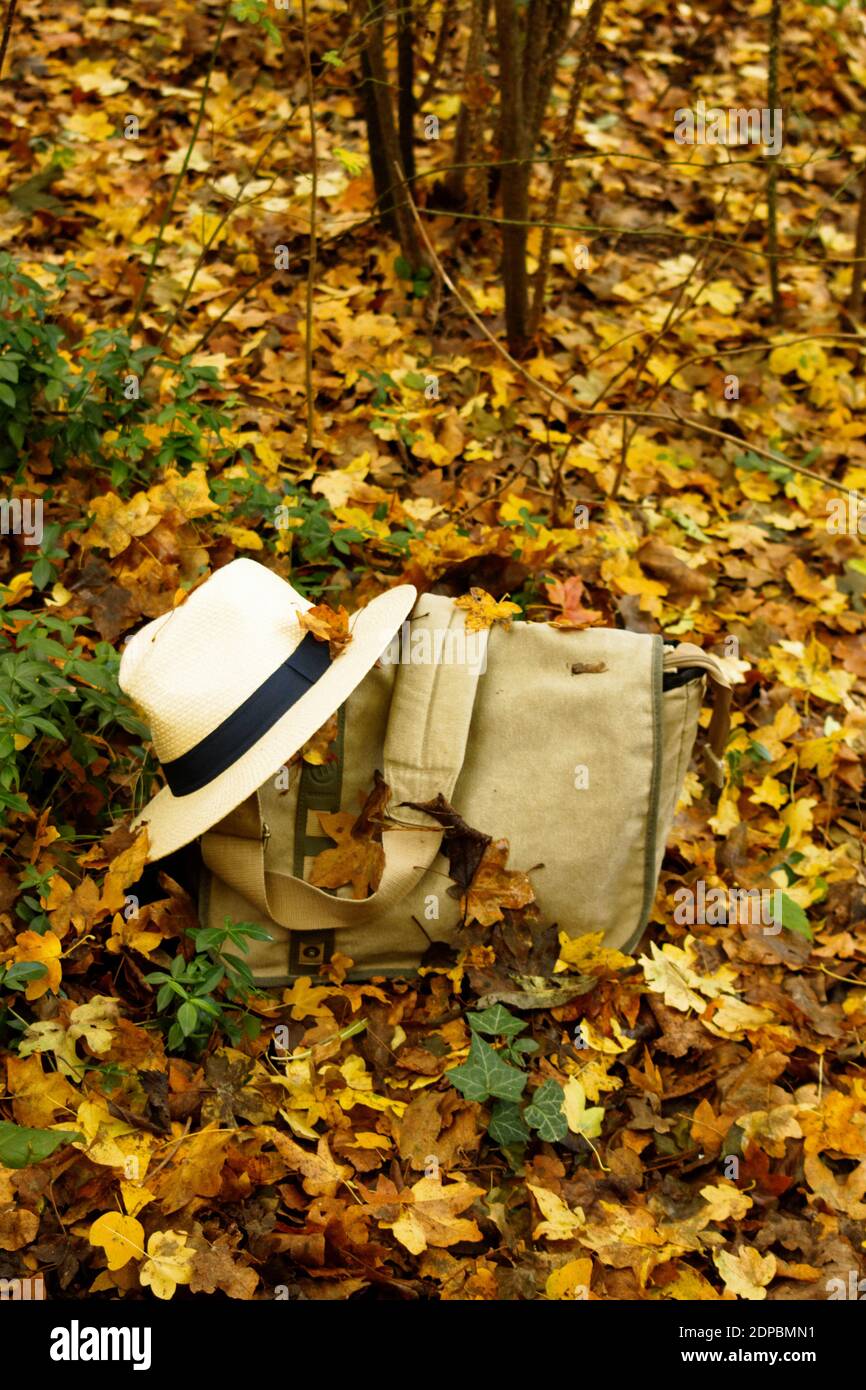 Viaggio in autunno. Borsa e cappello da uomo in scenario autunnale. Foto Stock