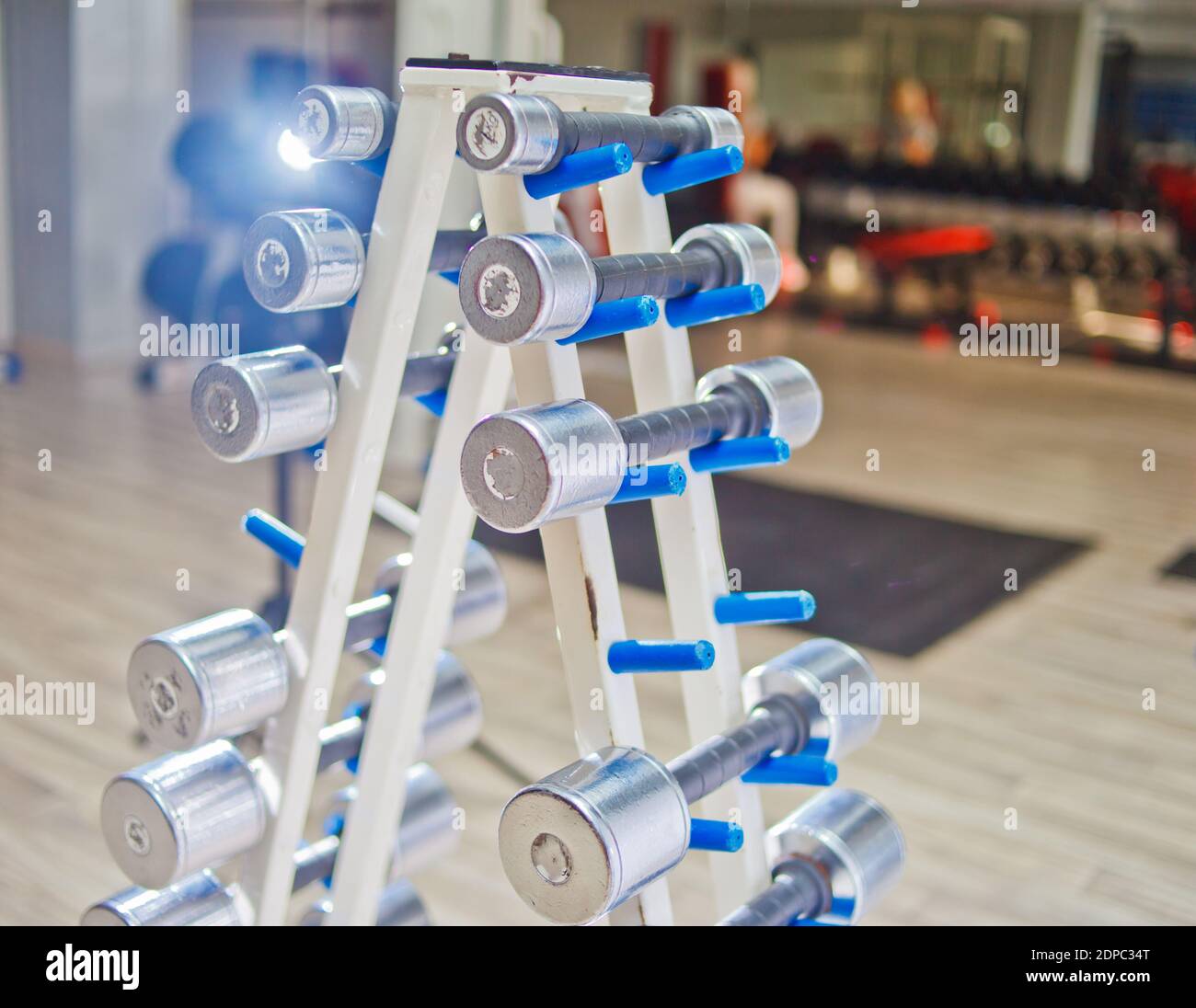 File di manubri in palestra. Set di manubri. Molti manubri in metallo su rack nel centro fitness sportivo Foto Stock