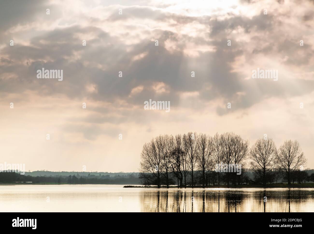 Un'immagine di alberi retroilluminati in una giornata di primavera da Rutland Water, Rutland, Inghilterra, Regno Unito. Foto Stock