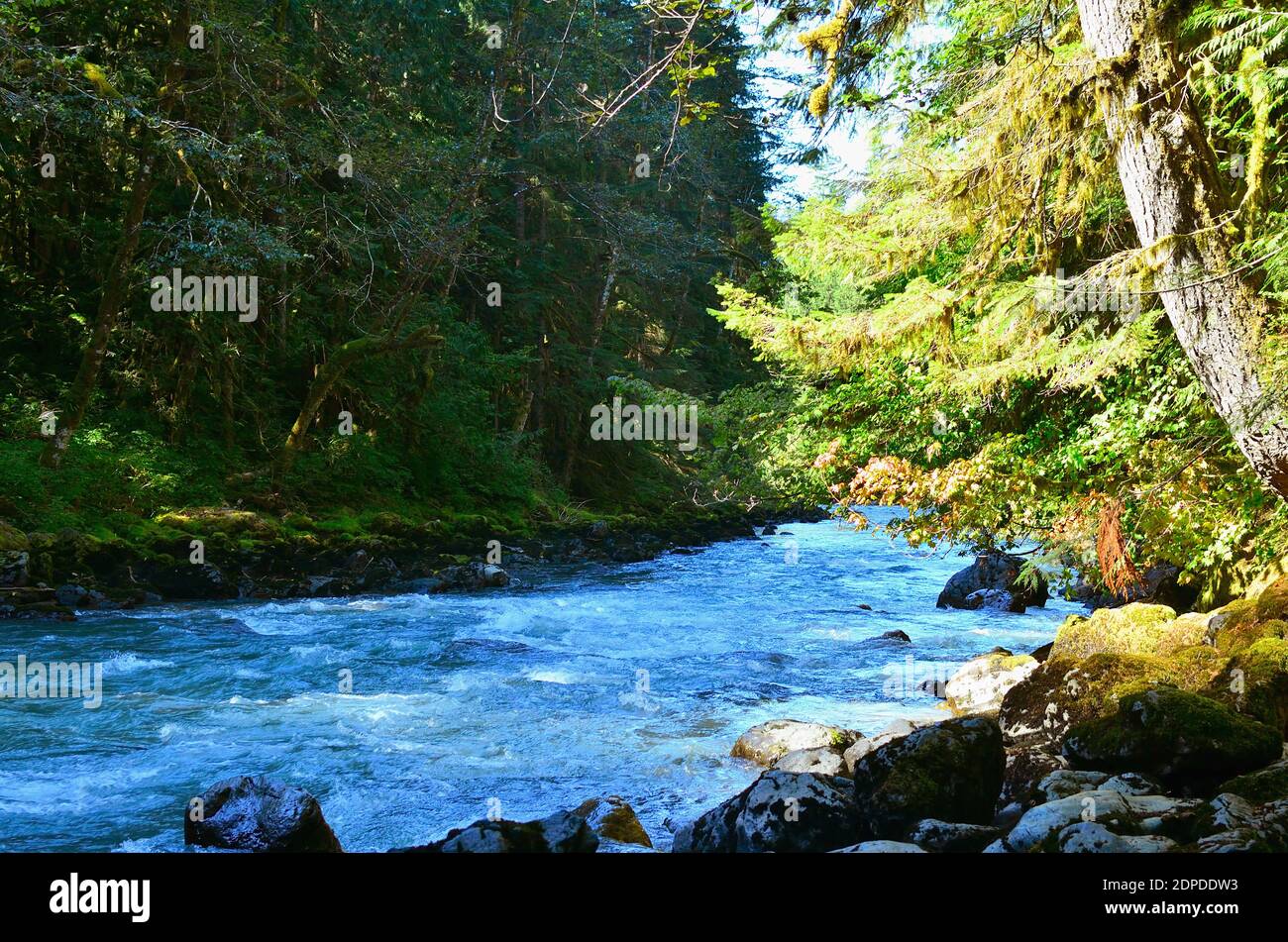 Fiume di acqua bianca in Cascade Mountains Foto Stock