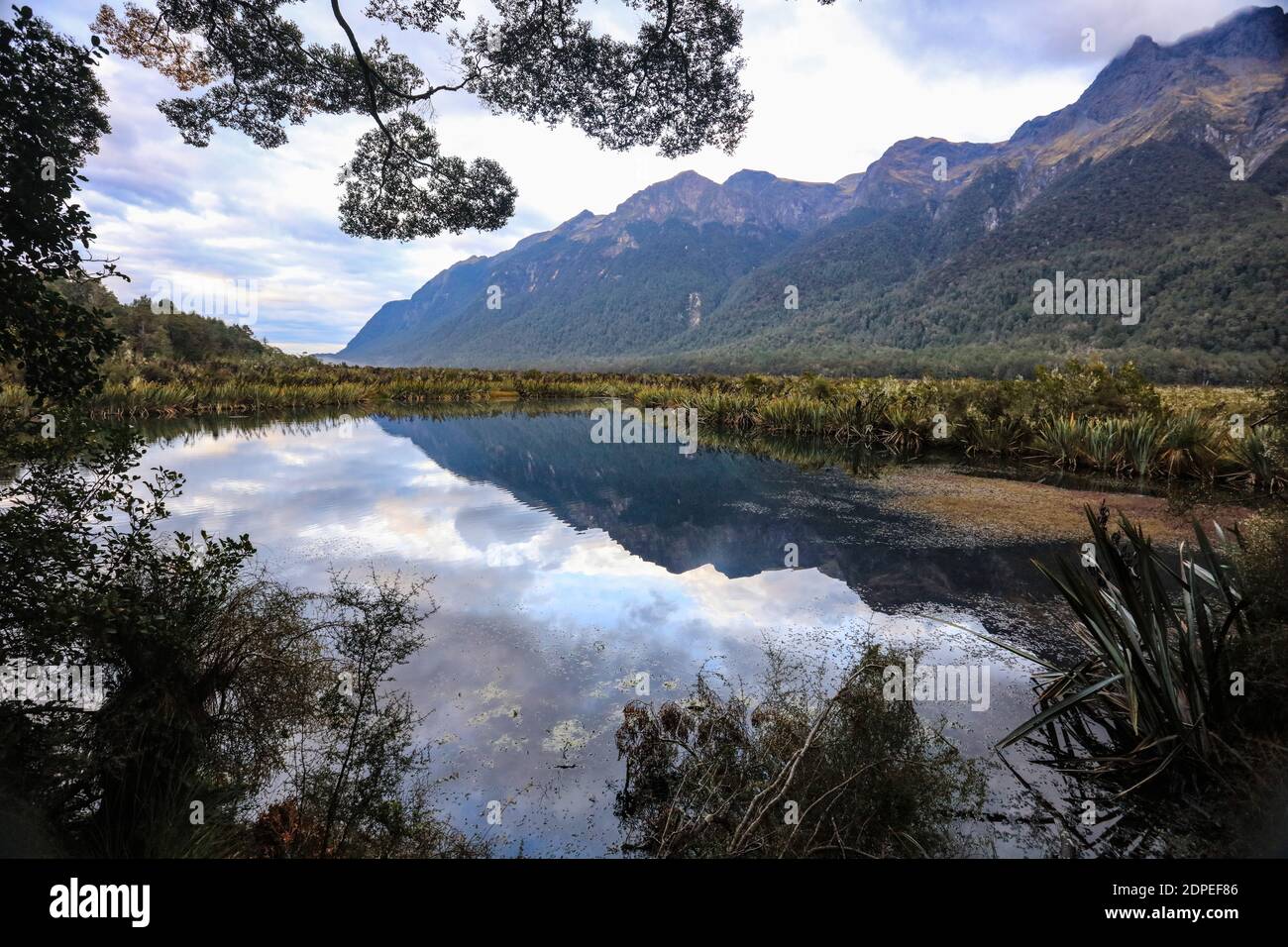 Key Summit è un percorso popolare per i visitatori del Parco Nazionale di Fiordland in Nuova Zelanda. Foto Stock