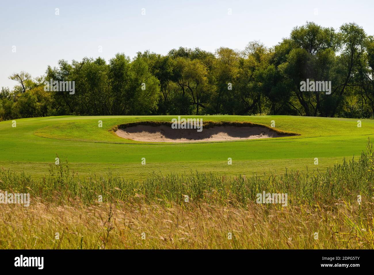 Un bunker trappola sabbia su un campo da golf con prato prateria di fronte al fairway e boschi pieni di alberi sullo sfondo. Foto Stock