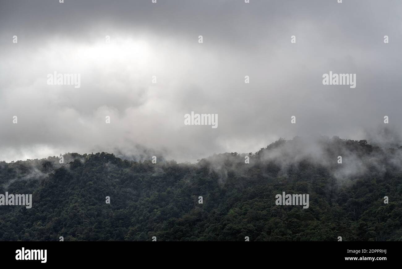 Suggestivo paesaggio aereo della foresta di nubi in nebbia e nebbia, Mindo, Ecuador. Foto Stock