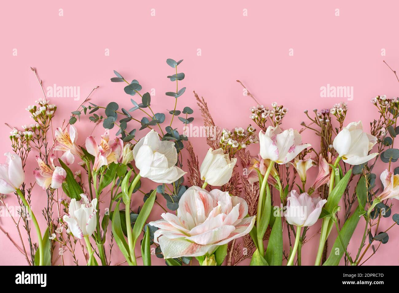 Tulipani bianchi alstroemeria rami e foglia verde su sfondo rosa pastello con spazio copia. Carta da parati dolce e bella per San Valentino o matrimonio ba Foto Stock