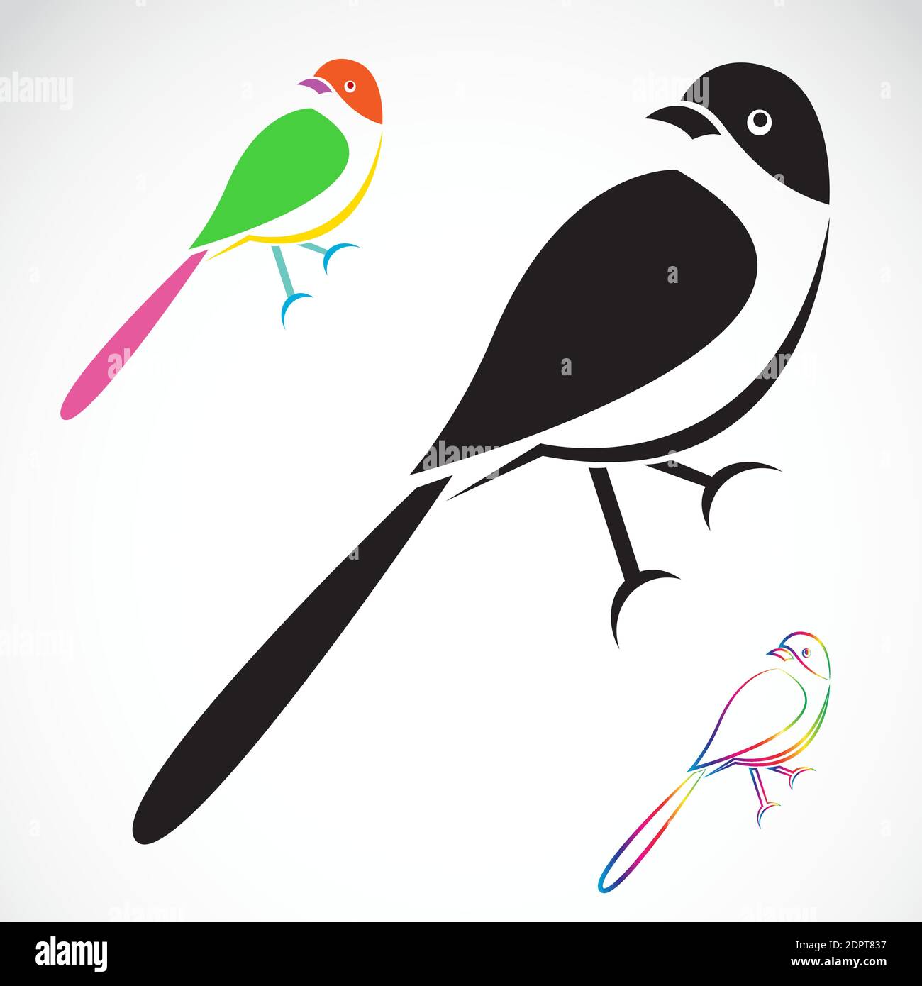 Vettore di uccello su sfondo bianco. Illustrazione vettoriale a livelli facilmente modificabile. Animali selvatici. Illustrazione Vettoriale