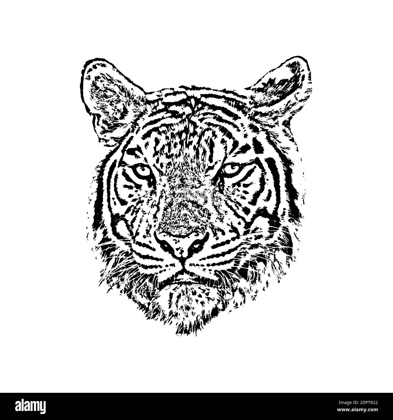 Vettore di una faccia tigre su sfondo bianco. Illustrazione vettoriale a livelli facilmente modificabile. Animali selvatici. Illustrazione Vettoriale