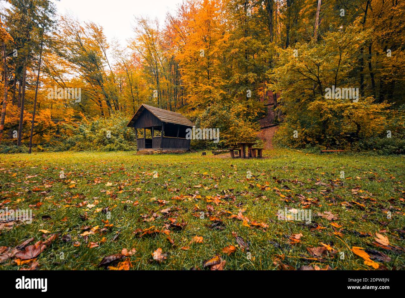Scena autunnale con capanna di legno. Natura rilassante, vista ad angolo basso, foglie di alberi colorate. Autunno paesaggio di montagna, relax tranquillo paesaggio naturale. Escursioni Foto Stock