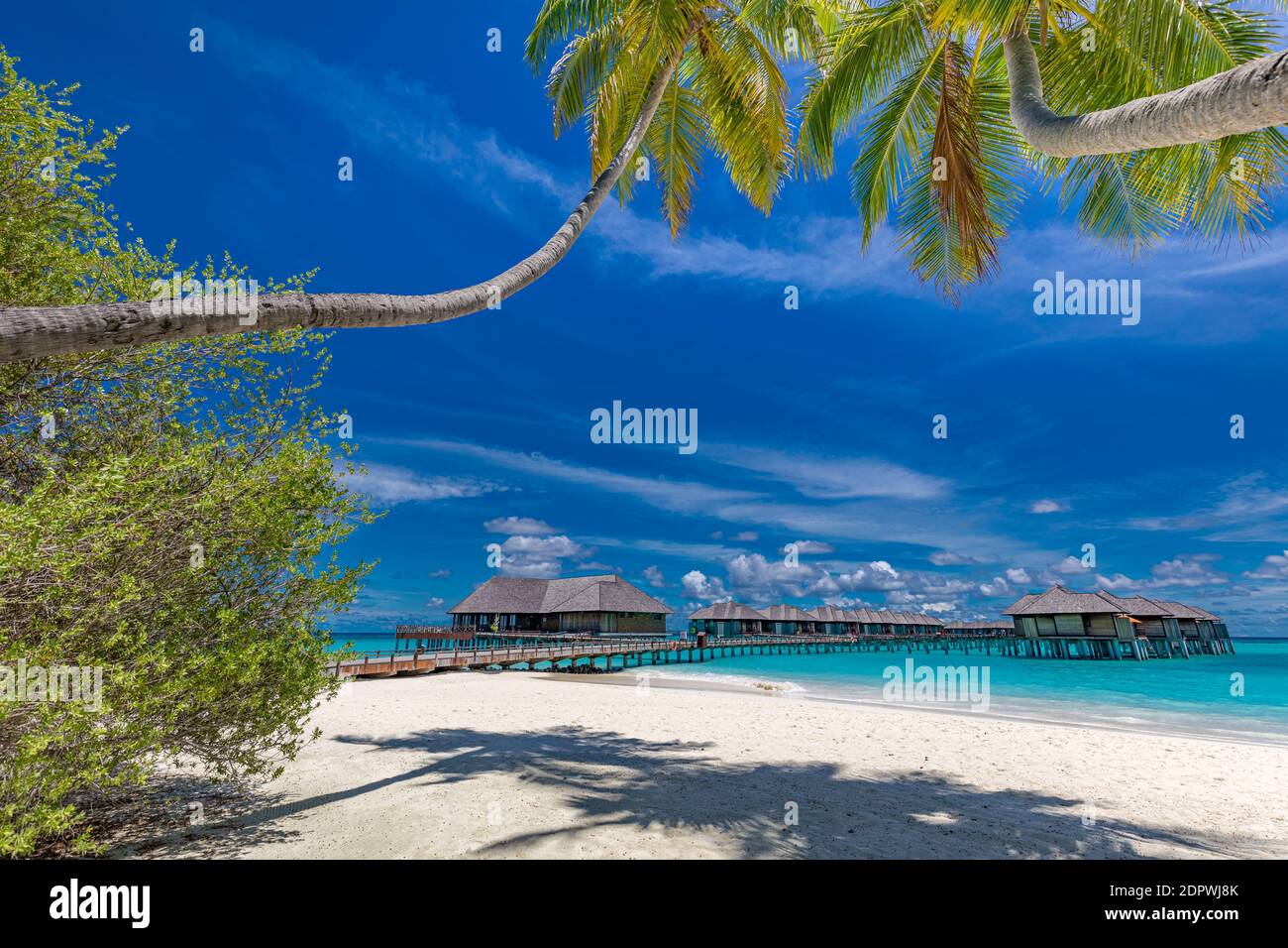 Maldive isola spiaggia. Paesaggio tropicale di paesaggi estivi, sabbia bianca con palme. Destinazione turistica di lusso. Paesaggio esotico della spiaggia Foto Stock