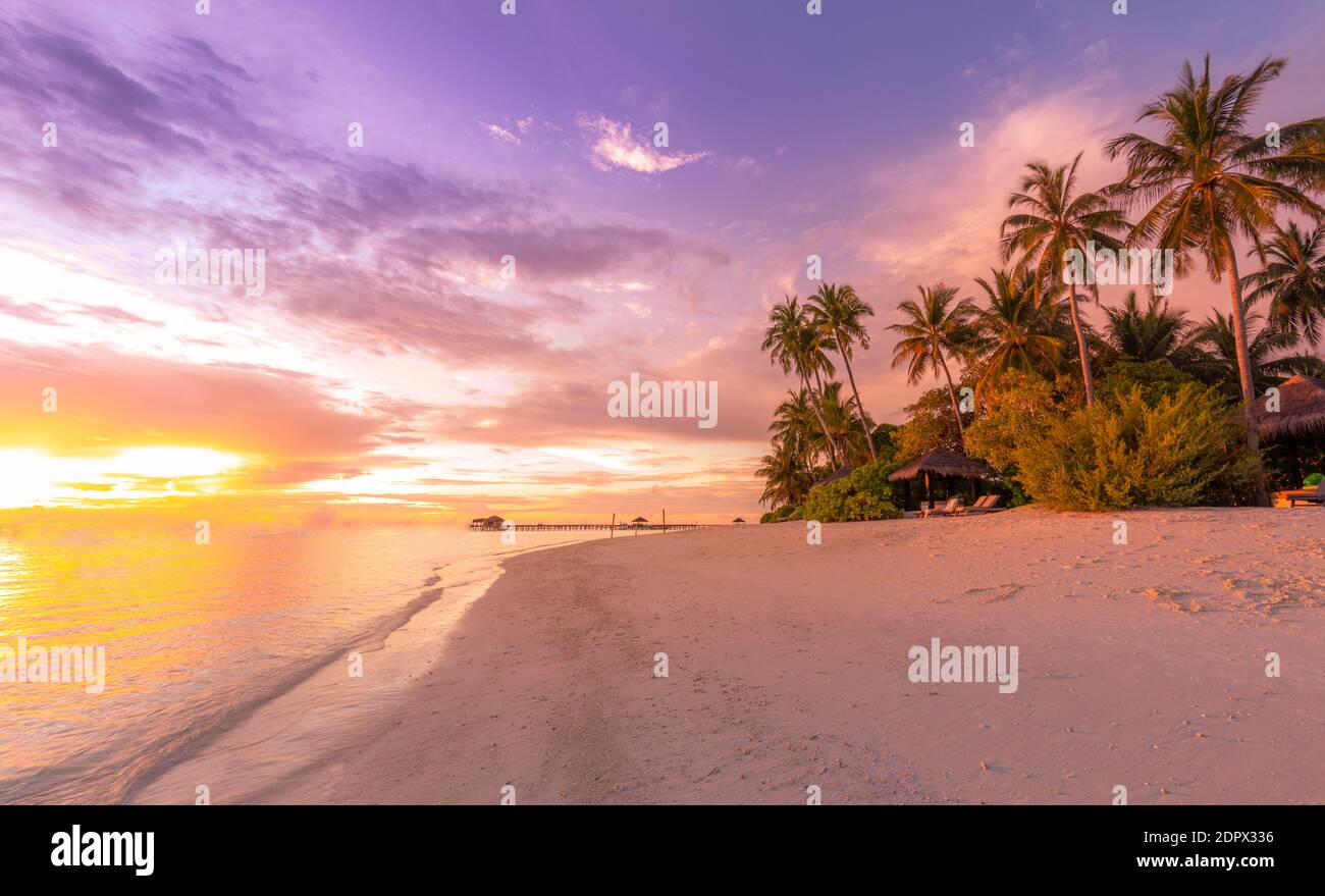 Bella spiaggia tropicale banner. La sabbia bianca e le palme di cocco viaggiano turismo ampio panorama concetto. Incredibile paesaggio della spiaggia all'alba, nuvole al tramonto Foto Stock