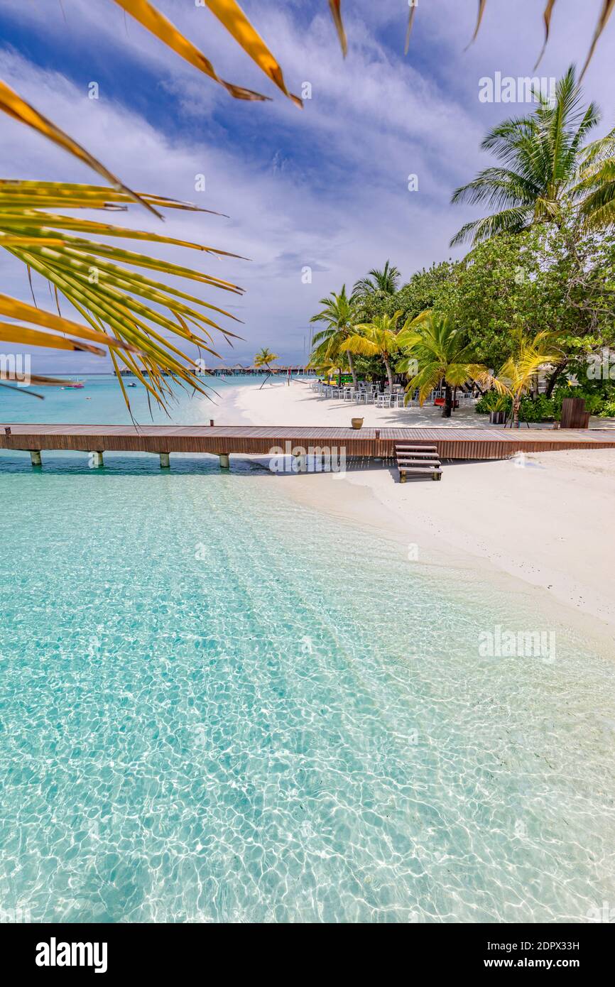 Ponte di legno molo sulla spiaggia tropicale nelle Maldive. Foglie di palma con una splendida laguna di mare. Idilliaca vista sulla natura Foto Stock