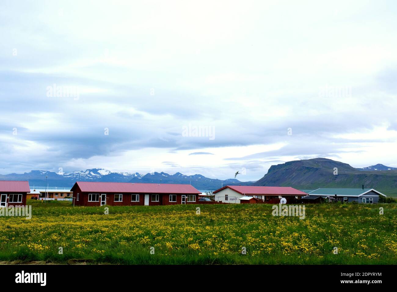 La popolazione dell'Islanda è estremamente omogenea. Tra il 60 e il 80 per cento erano di stock nordici provenienti dalla Norvegia. Il resto, dalla Scozia e dall'Irlanda Foto Stock