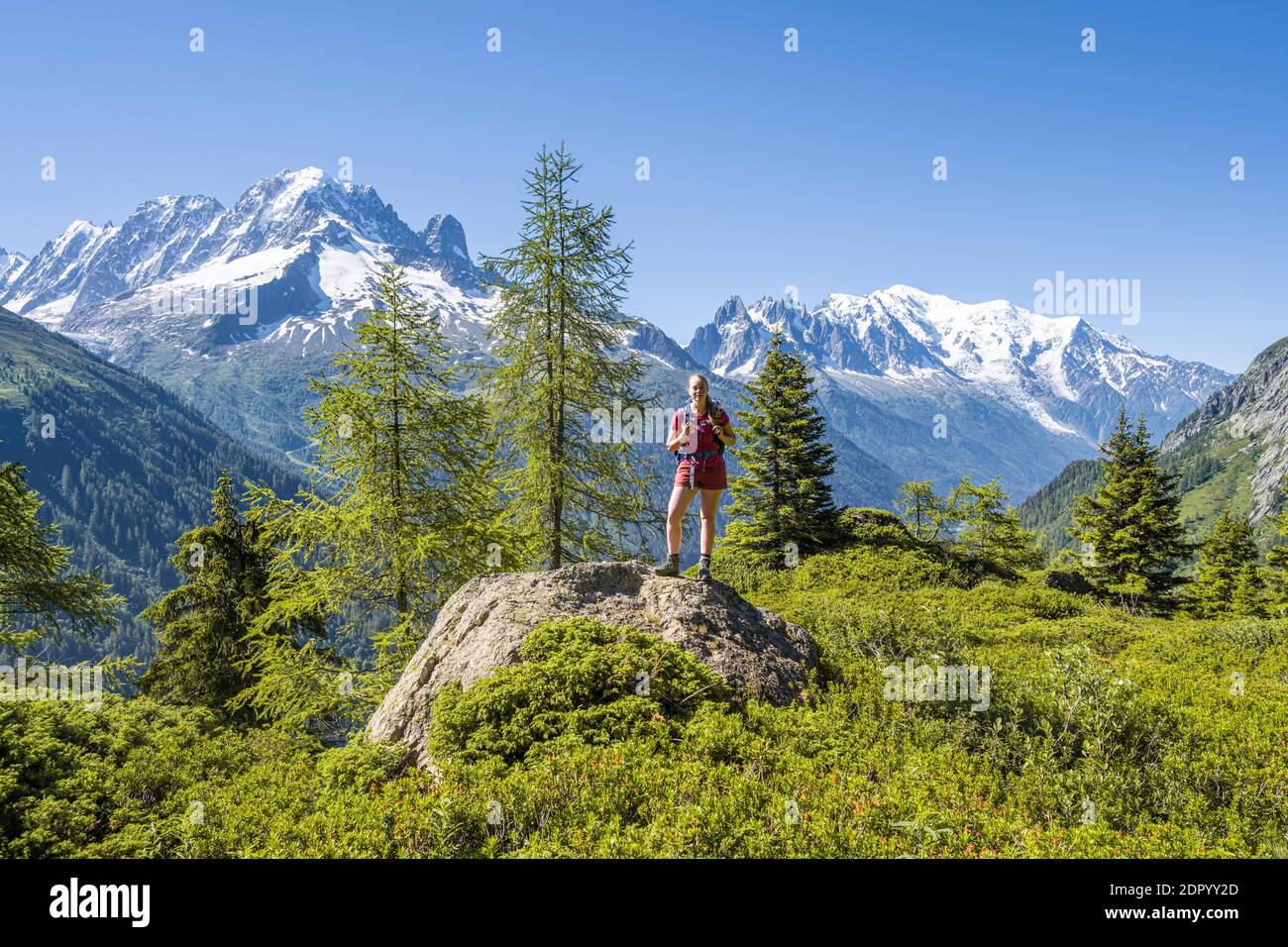 Escursionista guardando il panorama di montagna da Aiguillette des Posettes, picchi Aiguille Verte, Aiguille du Midi e Monte Bianco, Chamonix, alta Savoia Foto Stock