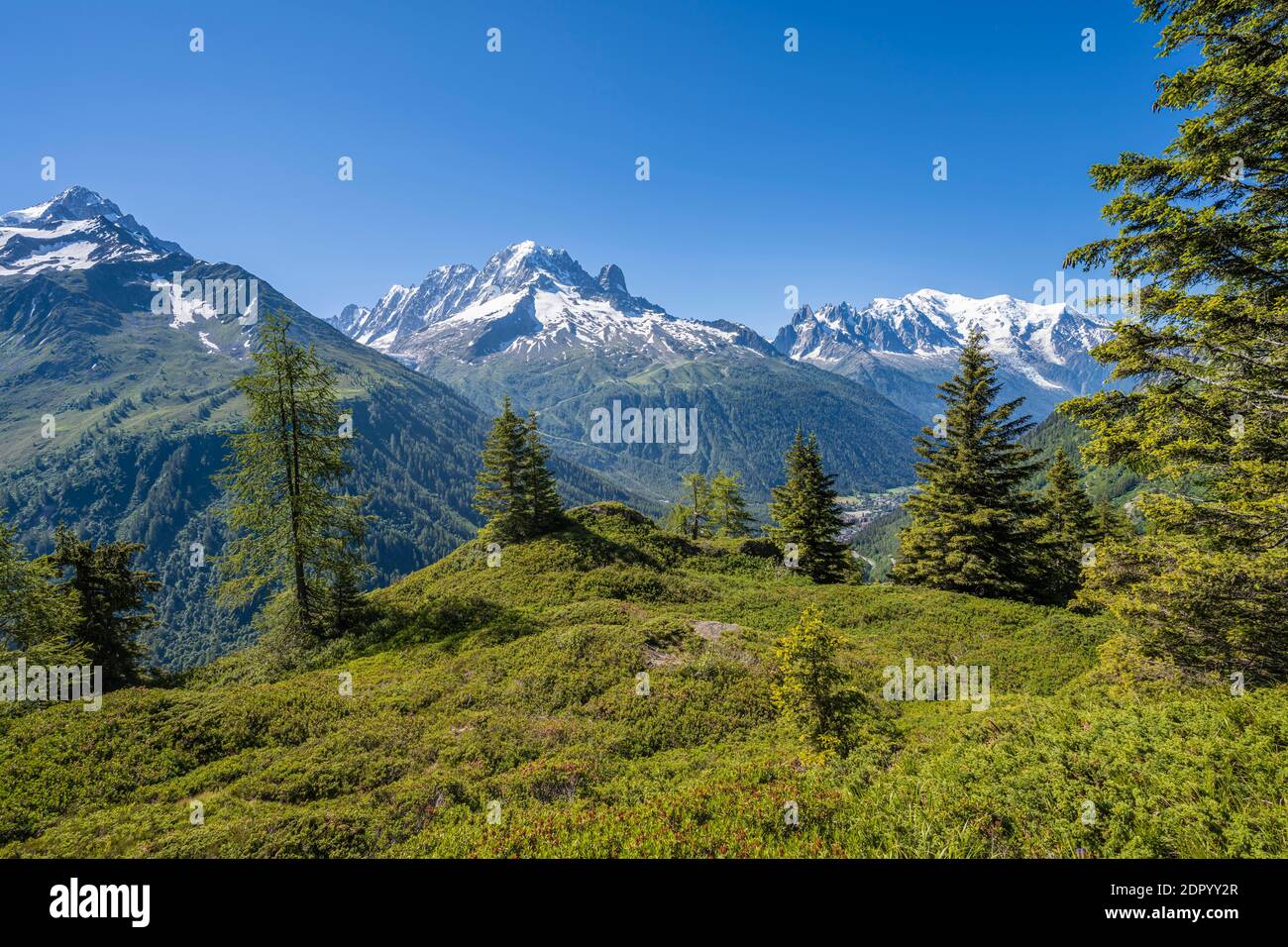 Panorama montano da Aiguillette des Posettes, cime Aiguille Verte, Aiguille du Midi e Monte Bianco, Chamonix, alta Savoia, Francia Foto Stock