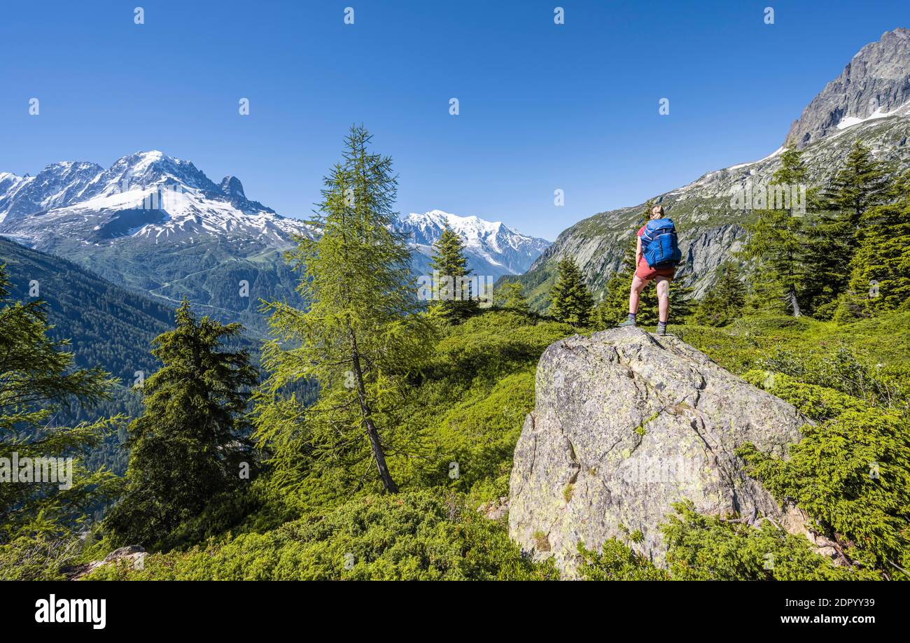 Escursionista guardando il panorama di montagna da Aiguillette des Posettes, picchi Aiguille Verte, Aiguille du Midi e Monte Bianco, Chamonix, alta Savoia Foto Stock