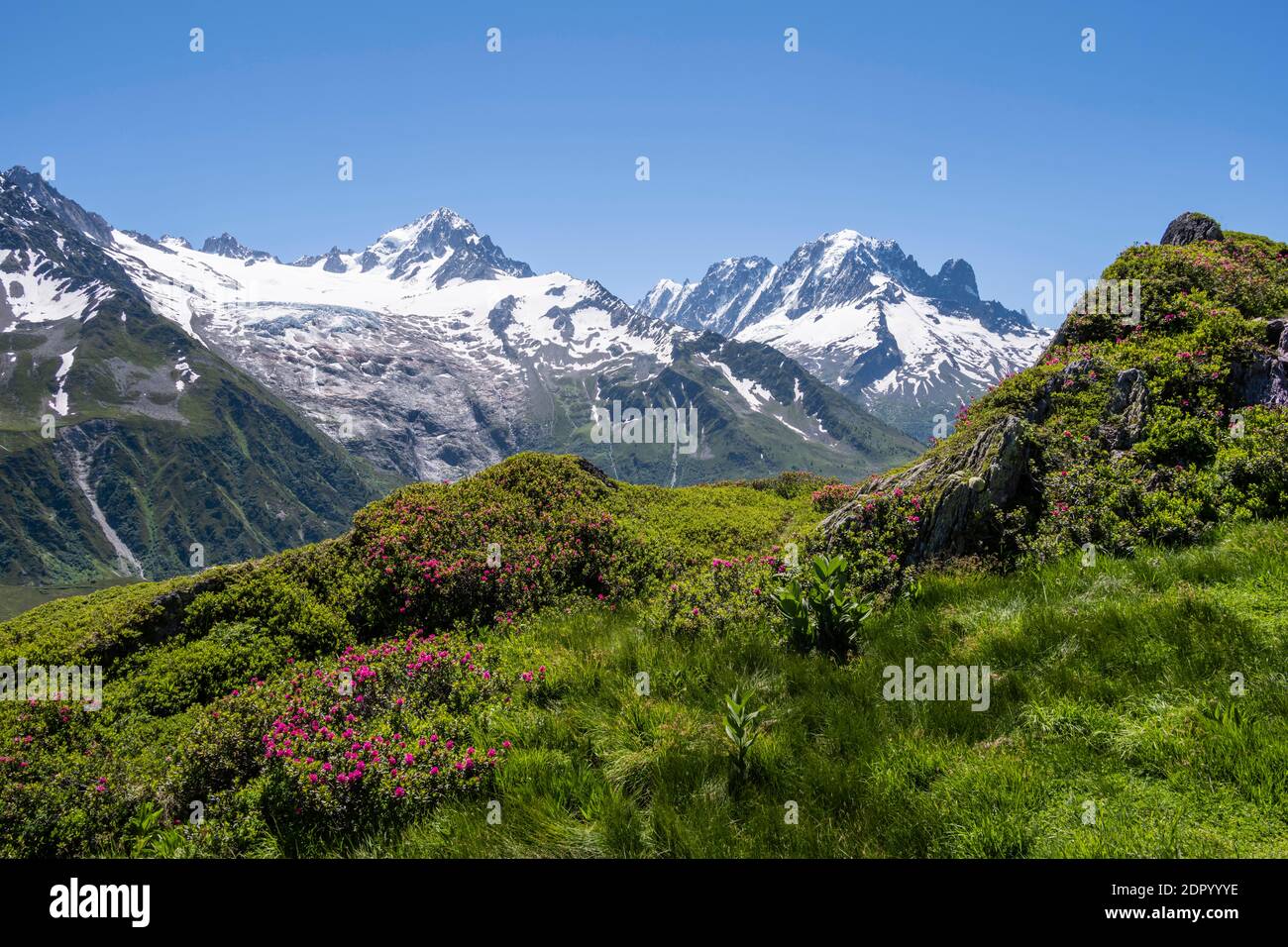 Vista da Aiguillette de Poisettes, Aiguille de Chardonnet sinistra, Aiguille Verte destra, Chamonix, alta Savoia, Francia Foto Stock