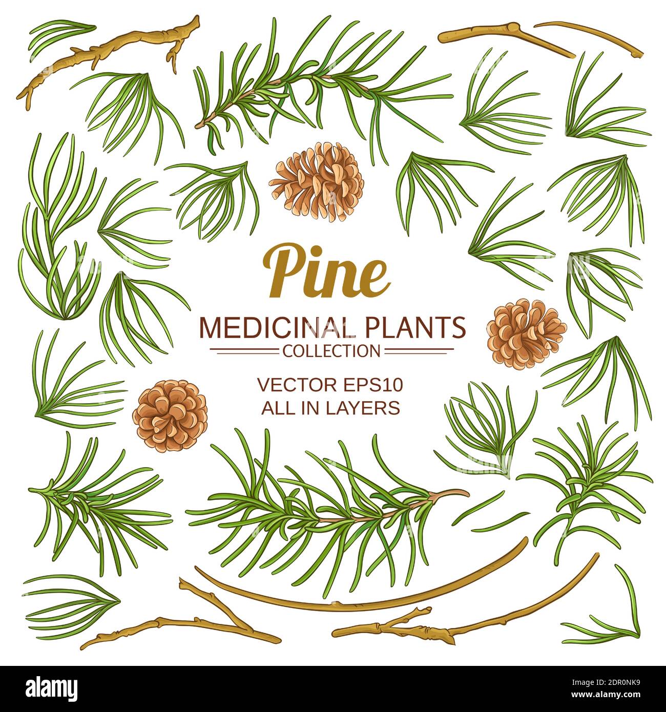 set di elementi di pino Illustrazione Vettoriale
