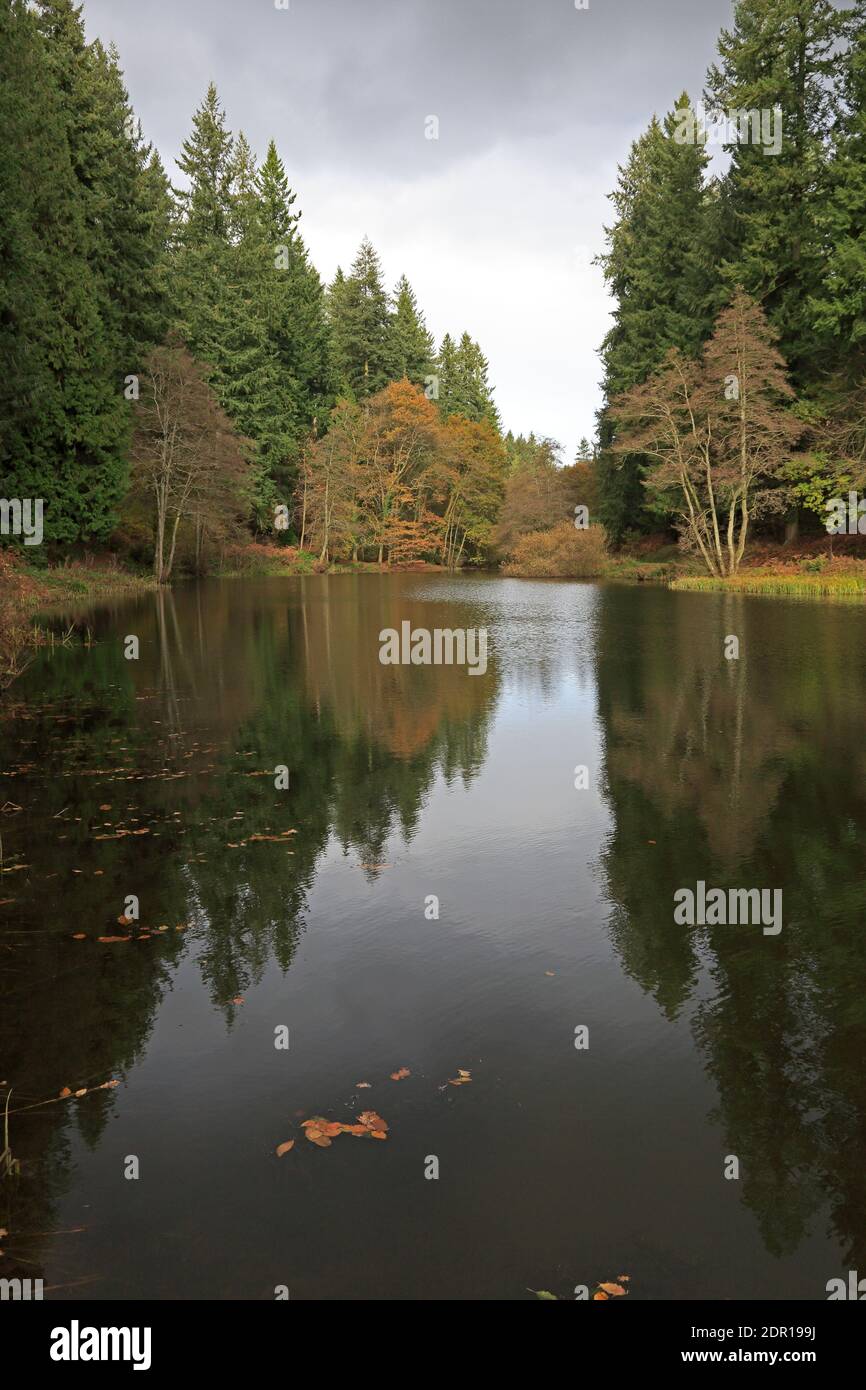 Colori autunnali a Soudley Ponds nella Foresta di Dean REGNO UNITO Foto Stock