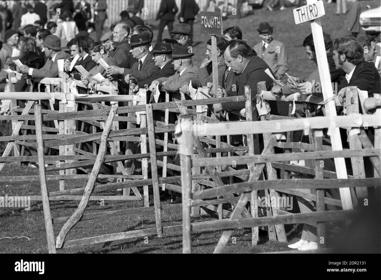 Regno Unito, Inghilterra, Devonshire, Buckfastleigh, 1972. Le gare Point-to-Point si sono svolte a Dean Court sulle paludi Dean, vicino alla A38 tra Plymouth ed Exeter. Gli spettatori (tutti sono uomini) che tengono programmi studiano il modulo al recinto. Piazzeranno scommesse sui cavalli presso la borsa tote o i bookmaker sul campo. Foto Stock