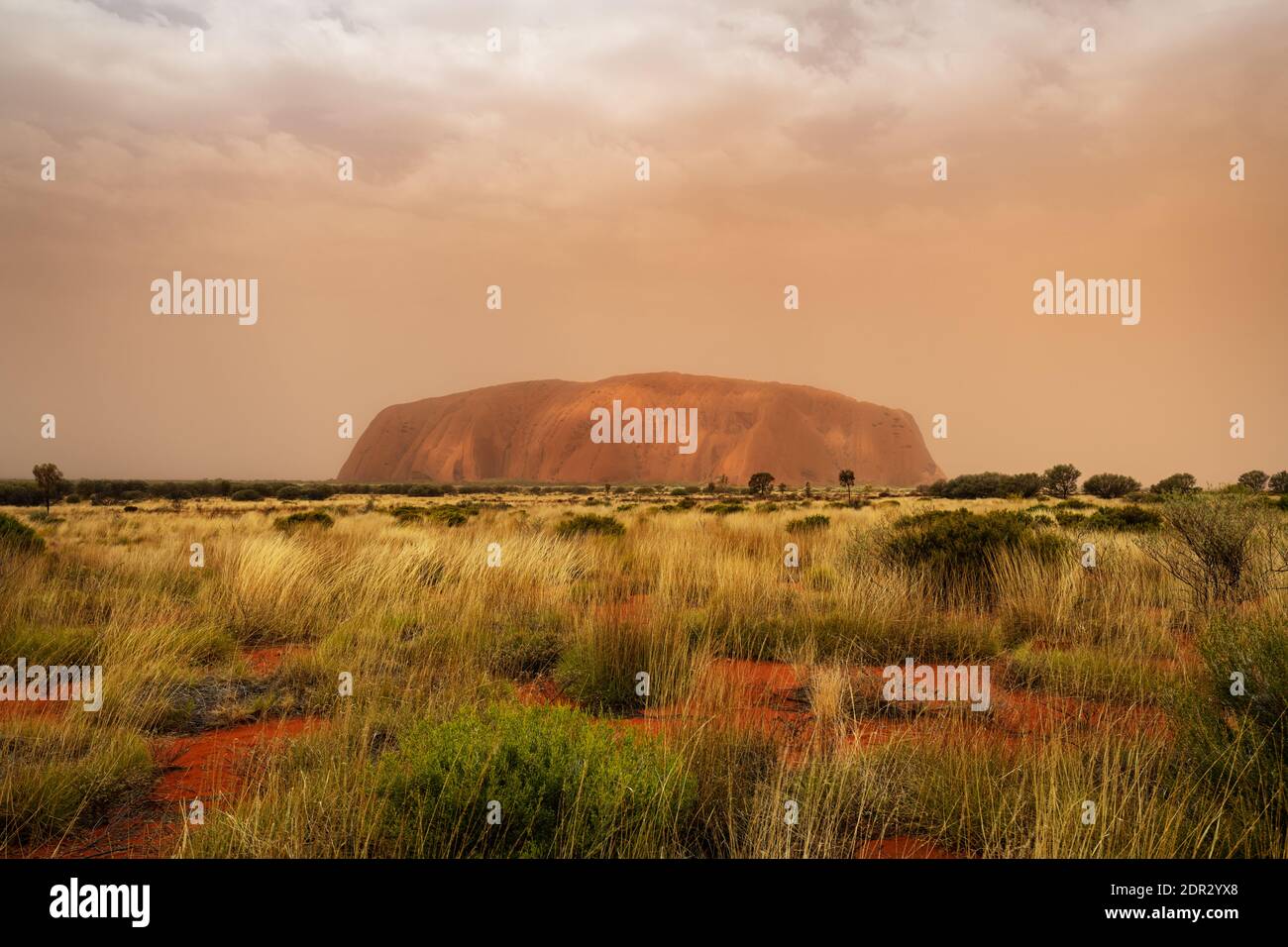Famoso Uluru in una tempesta di sabbia. Foto Stock