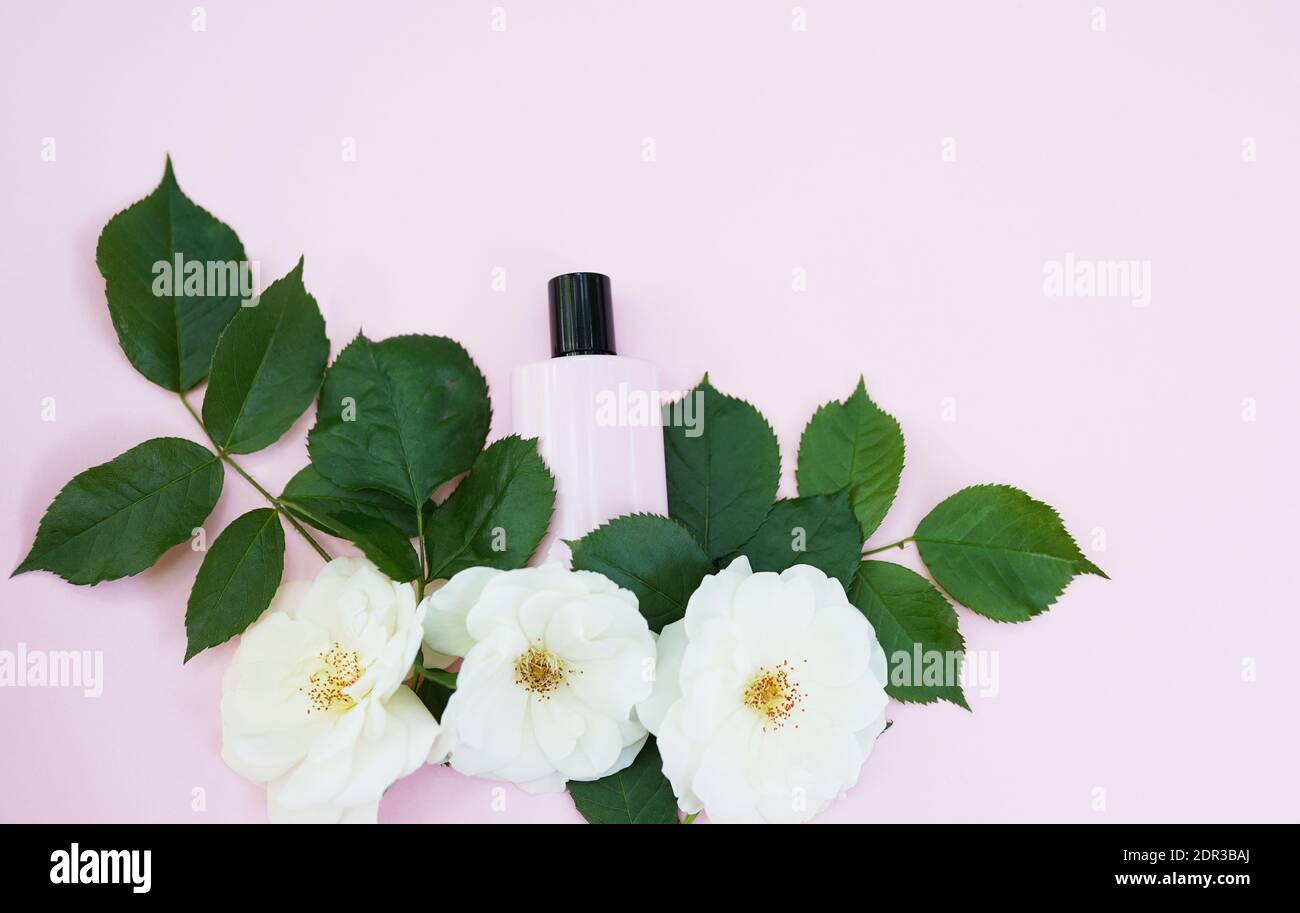 Lozione per la cura del corpo con foglie verdi e fiori bianchi sfondo rosa con spazio per la copia Foto Stock