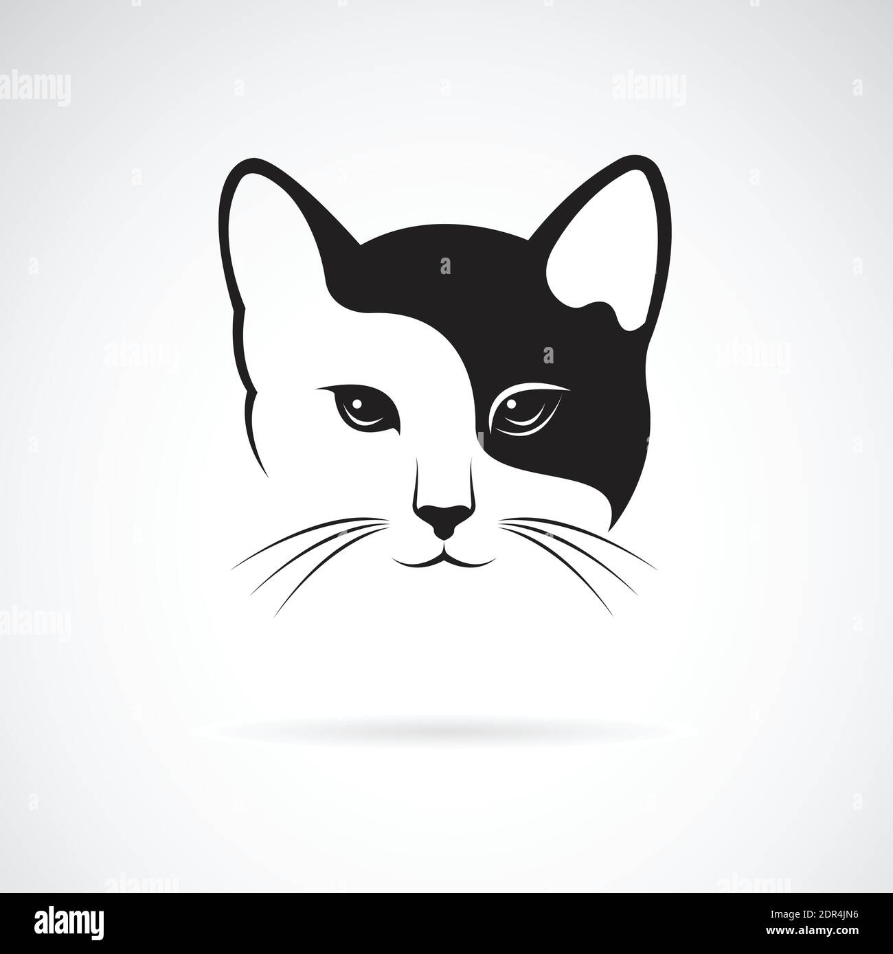 Immagine vettoriale di un disegno di faccia di gatto su sfondo bianco.  Illustrazione vettoriale a livelli facilmente modificabile. Animali. PET  Immagine e Vettoriale - Alamy