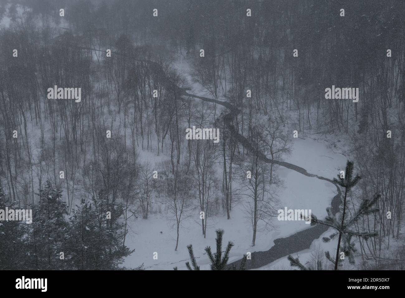 Veduta aerea panoramica dalla cima del tumulo Puckoriai in inverno in Lituania. Terreno coperto di neve, il fiume Vilnia tortuoso e alberi senza foglie nude Foto Stock