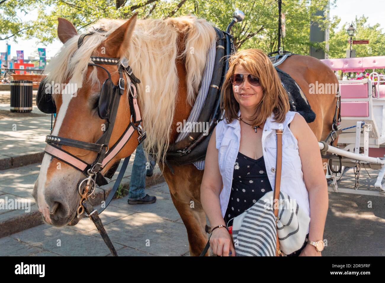 Ritratto di donna latino-americana a Montreal, Canada Foto Stock