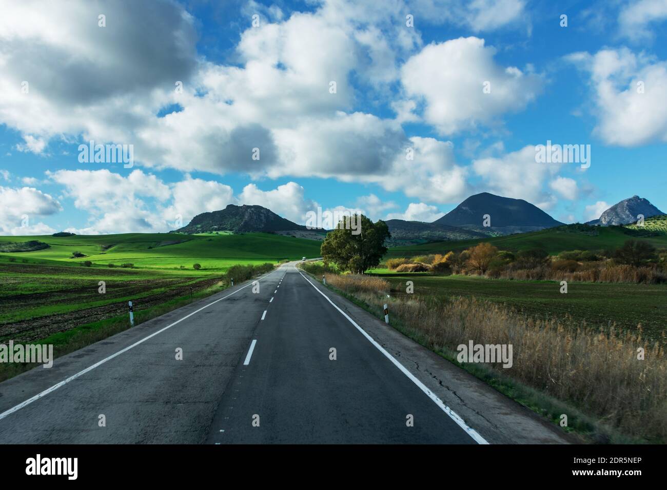 Strada secondaria che invita il viaggiatore a godersi il viaggio tra campi verdi con montagne sullo sfondo e un cielo blu con nuvole di cotone. Foto Stock