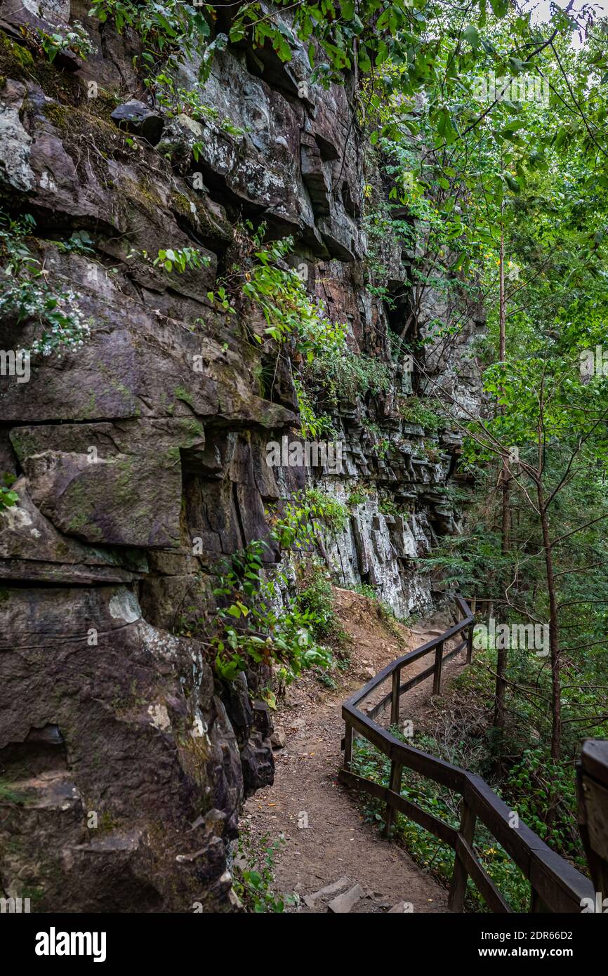 Un sentiero stretto lungo una montagna nello stato del Cloudland Canyon Parco nella Georgia del Nord Foto Stock