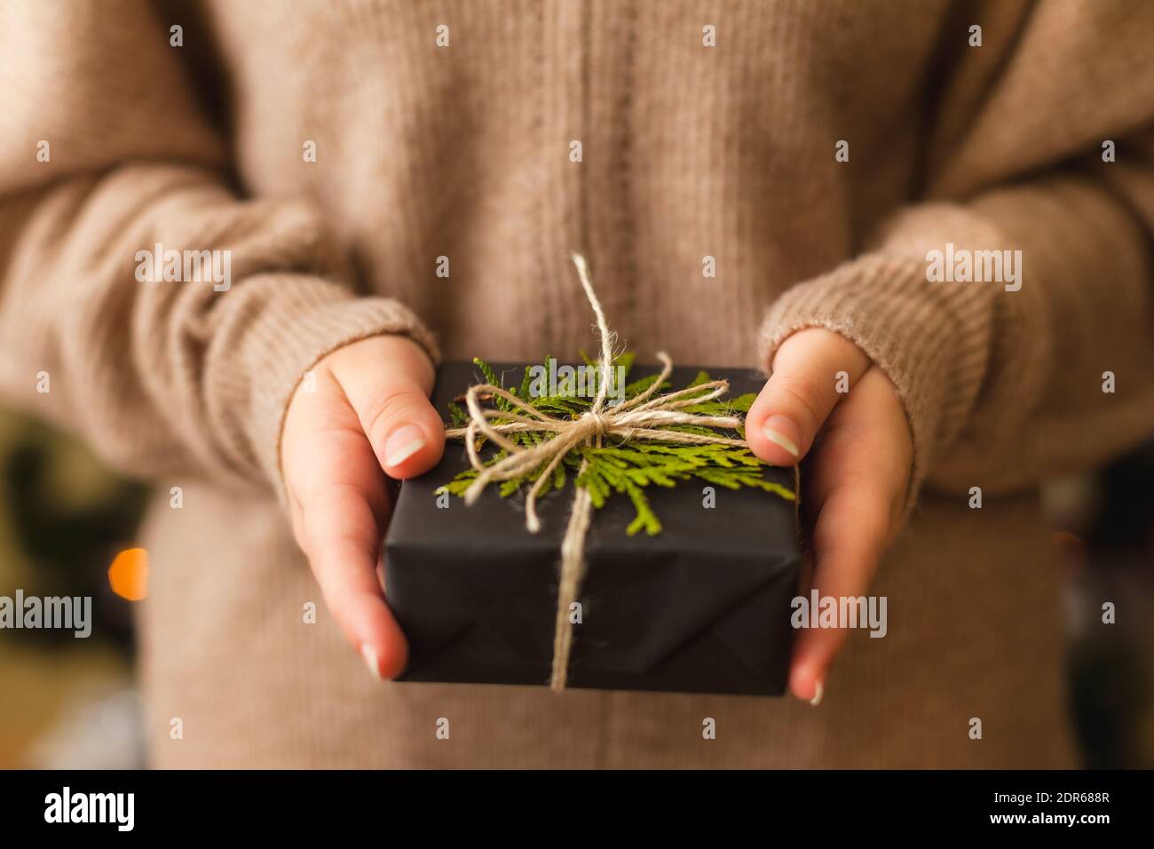 Mani donne che tengono bel presente avvolto in carta nera e decorato con ramo verde, primo piano Foto Stock