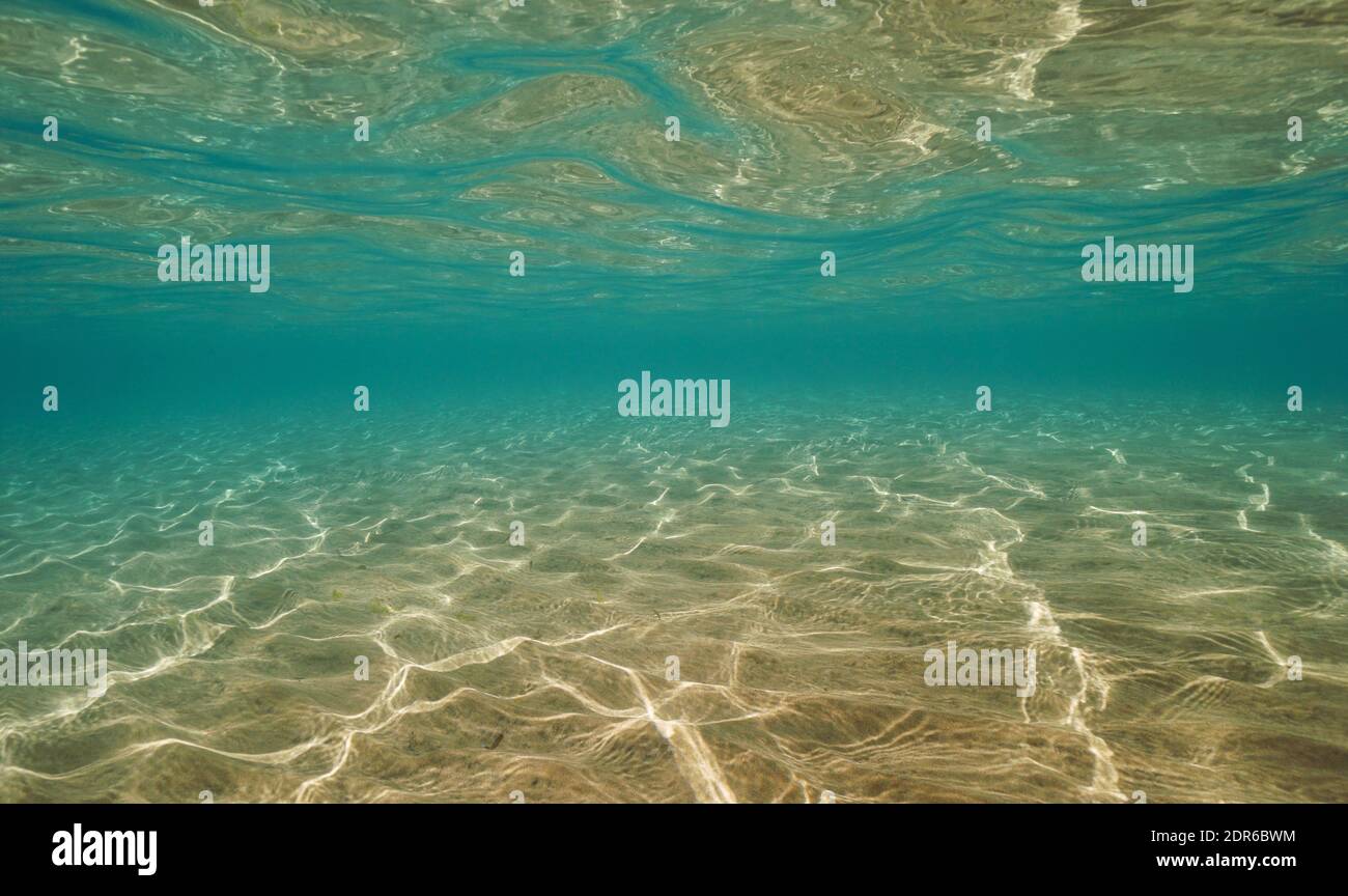 Fondo subacqueo, fondale sabbioso nel mare sotto la superficie dell'acqua, scena naturale, Mediterraneo, Spagna Foto Stock