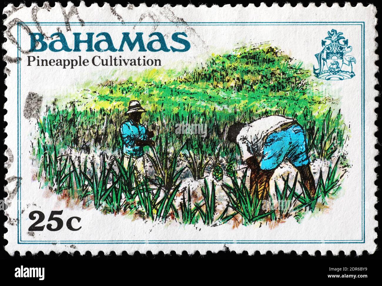 Coltivazione di ananas sul francobollo delle Bahamas Foto Stock