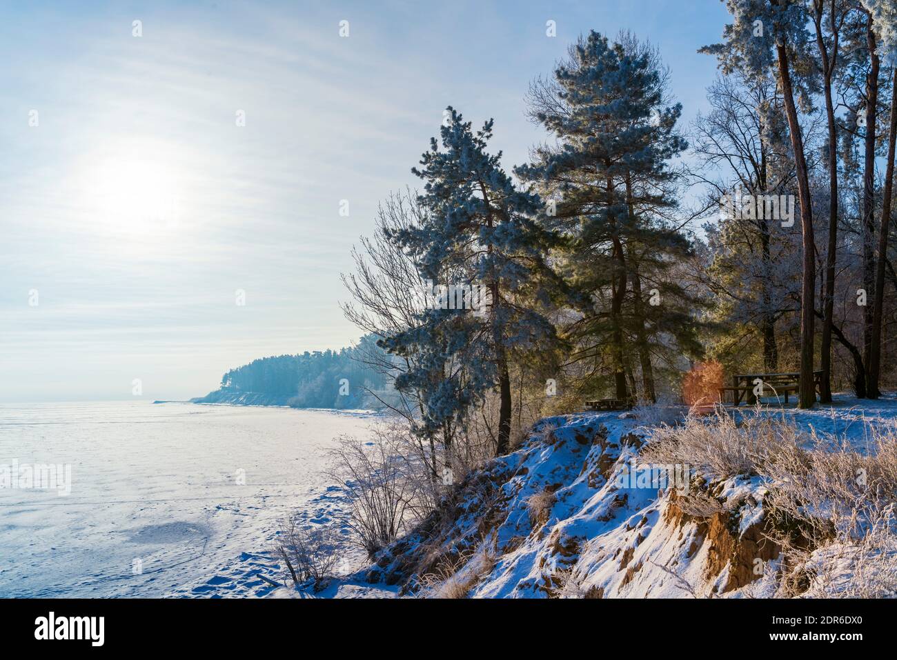 Cartolina invernale. Tranquilla mattina invernale nella foresta Foto Stock