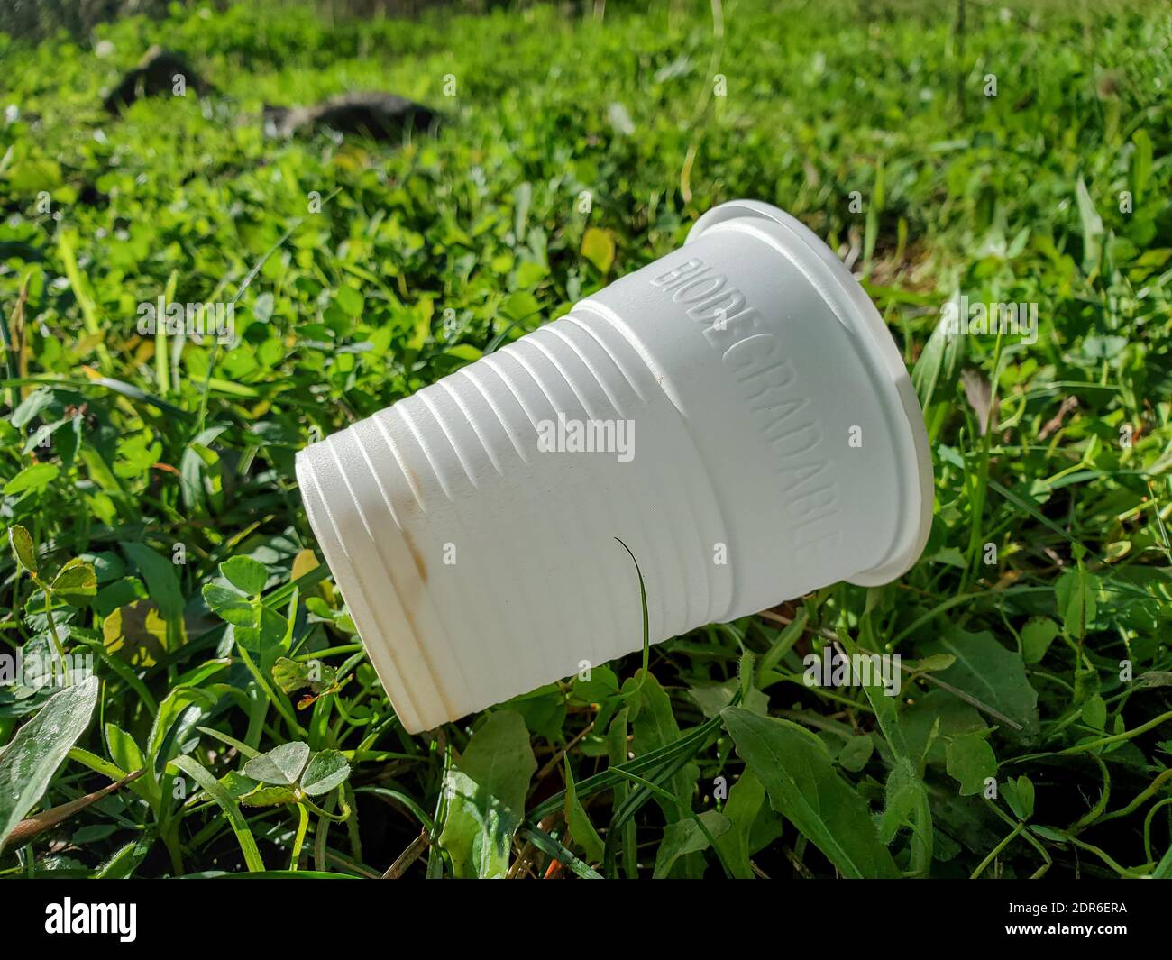 Rifiuti di vetro di plastica biodegradabile gettati su erba, materiali eco-compatibili Foto Stock