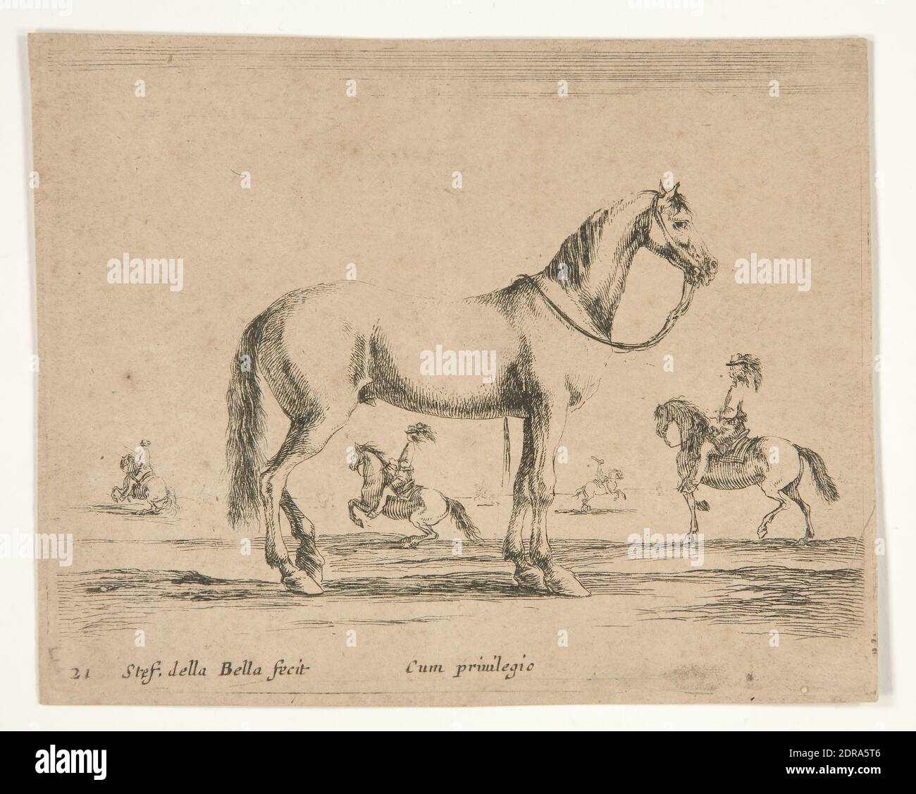 Artista: Stefano della Bella, Italiano, 1610–1664, Cavallo senza pilota, con cavalieri che fanno dressage sullo sfondo, ca. 1640, incisione, foglio: 8.9 × 11.1 cm (3 1/2 × 4 3/8in.), Made in Italy, Italiano, XVII secolo, opere su carta - stampe Foto Stock