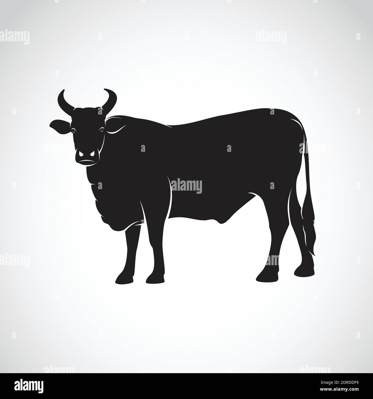 Vettore di una mucca su sfondo bianco. Illustrazione vettoriale a livelli facilmente modificabile. Animale da fattoria. Illustrazione Vettoriale