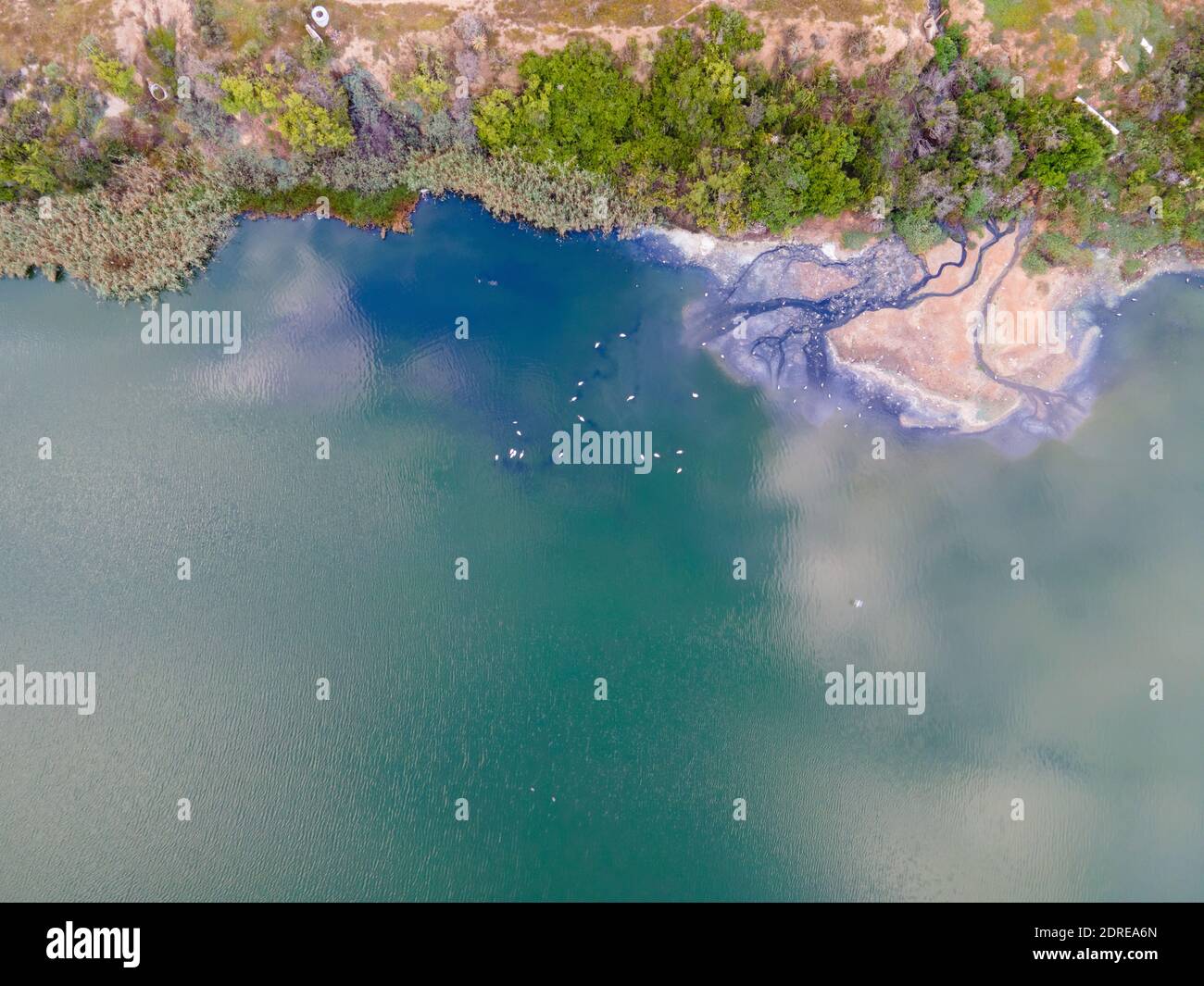 Fenicotteri visti sul lago salato dalla vista aerea Foto Stock