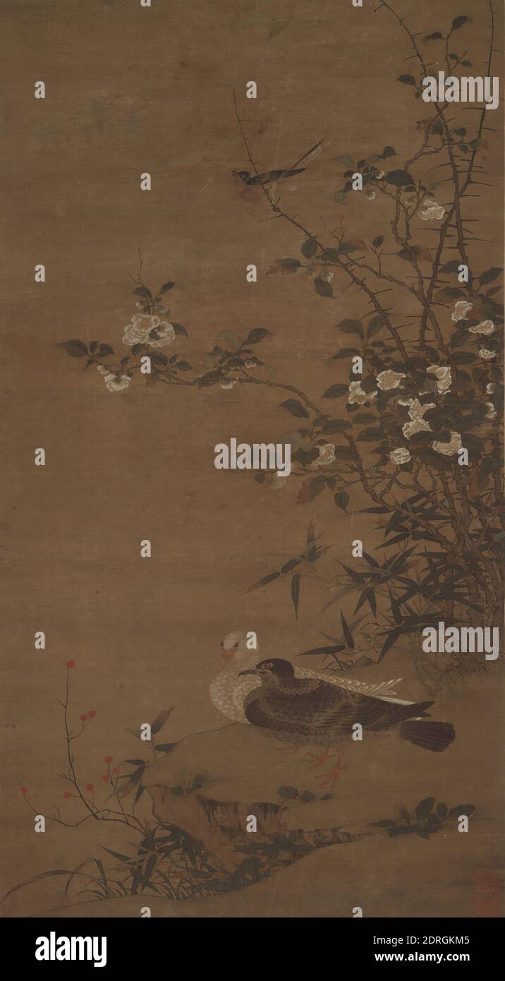 Coppia di colombe, Bambù, e Camellia, 14 ° secolo, chiocciola, inchiostro e colore su seta, senza montaggio: 30 1/4 × 16 5/8 pollici. (76.8 × 42.2 cm), mentre gli uccelli di tutte le specie sono generalmente rappresentati a coppie nella pittura cinese, la coppia di colombe di serpente in primo piano di questo rotolo appeso è un simbolo particolare di fedeltà coniugale permanente nella cultura cinese. La camelia e il bambù indicano primavera, una stagione favorita nella pittura cinese redolente di rinnovamento e la transizione della vita. , Cina, cinese, dinastia Yuan (1279–1368), dipinti Foto Stock
